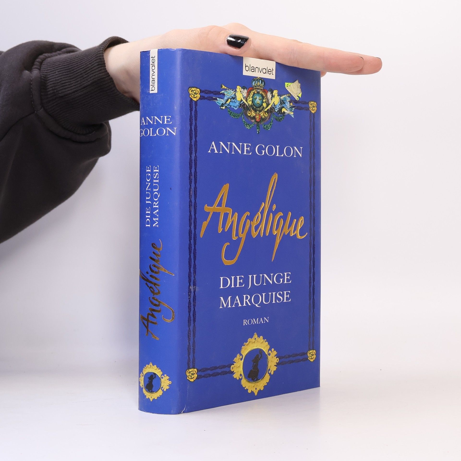 Anne Golon Angélique. Die junge Marquise.