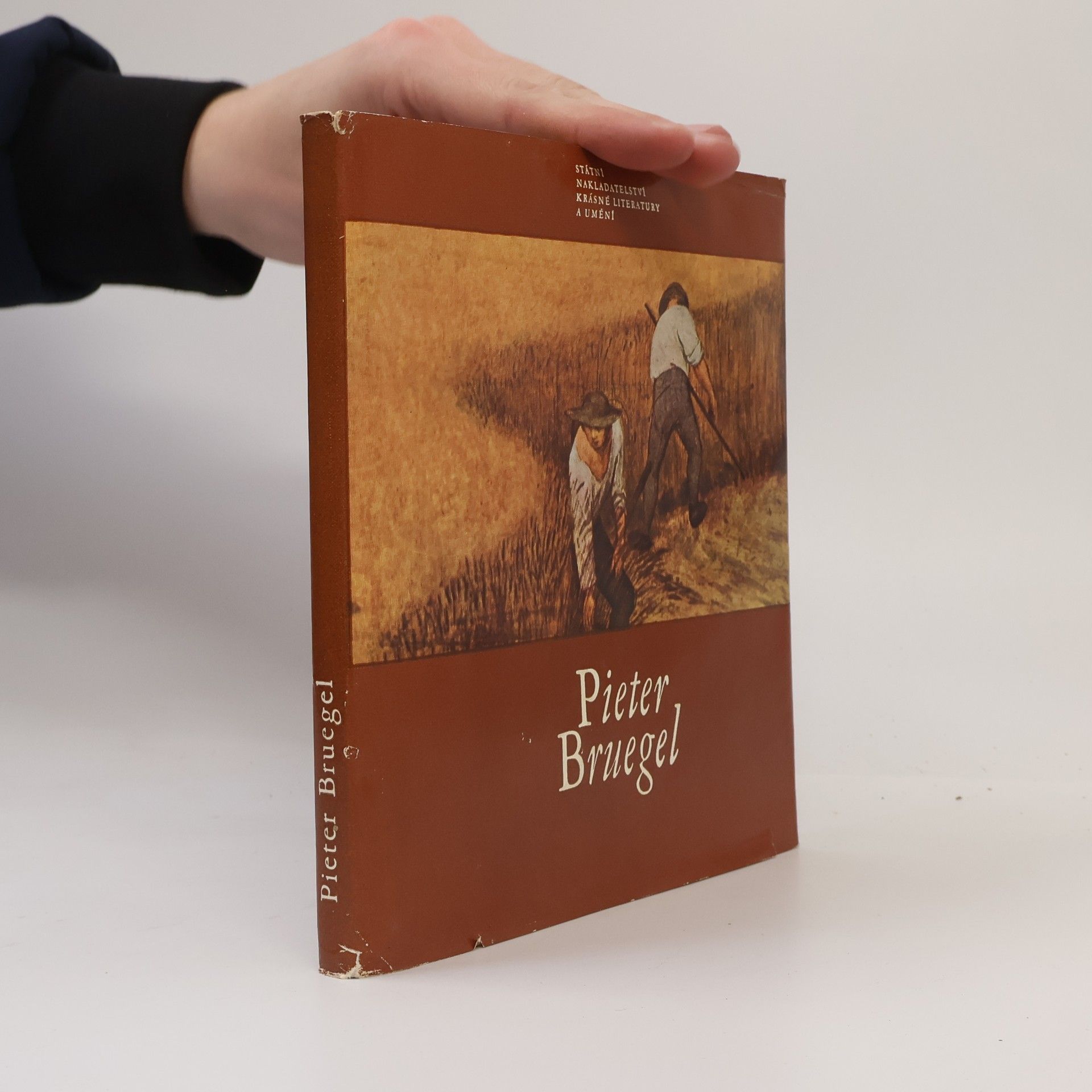Jaromír Neumann Pieter Bruegel