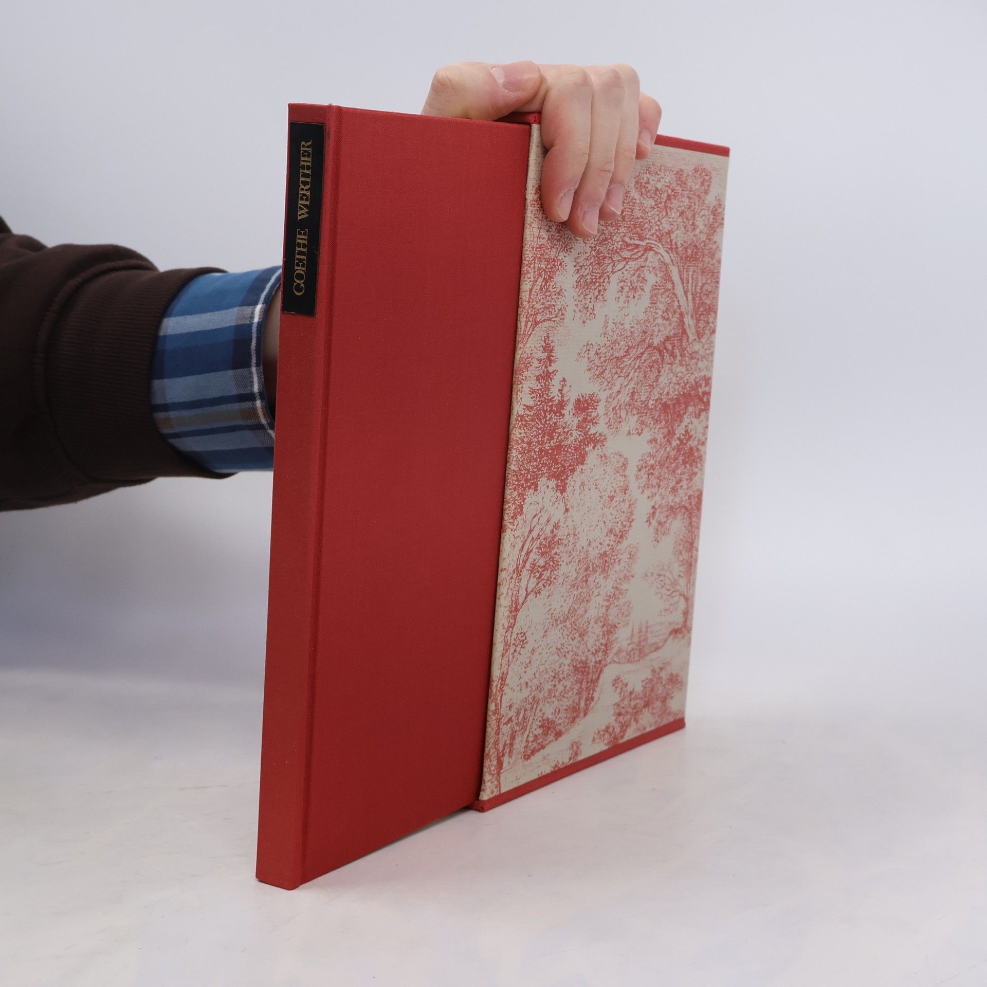 Johann Wolfgang von Goethe Werther