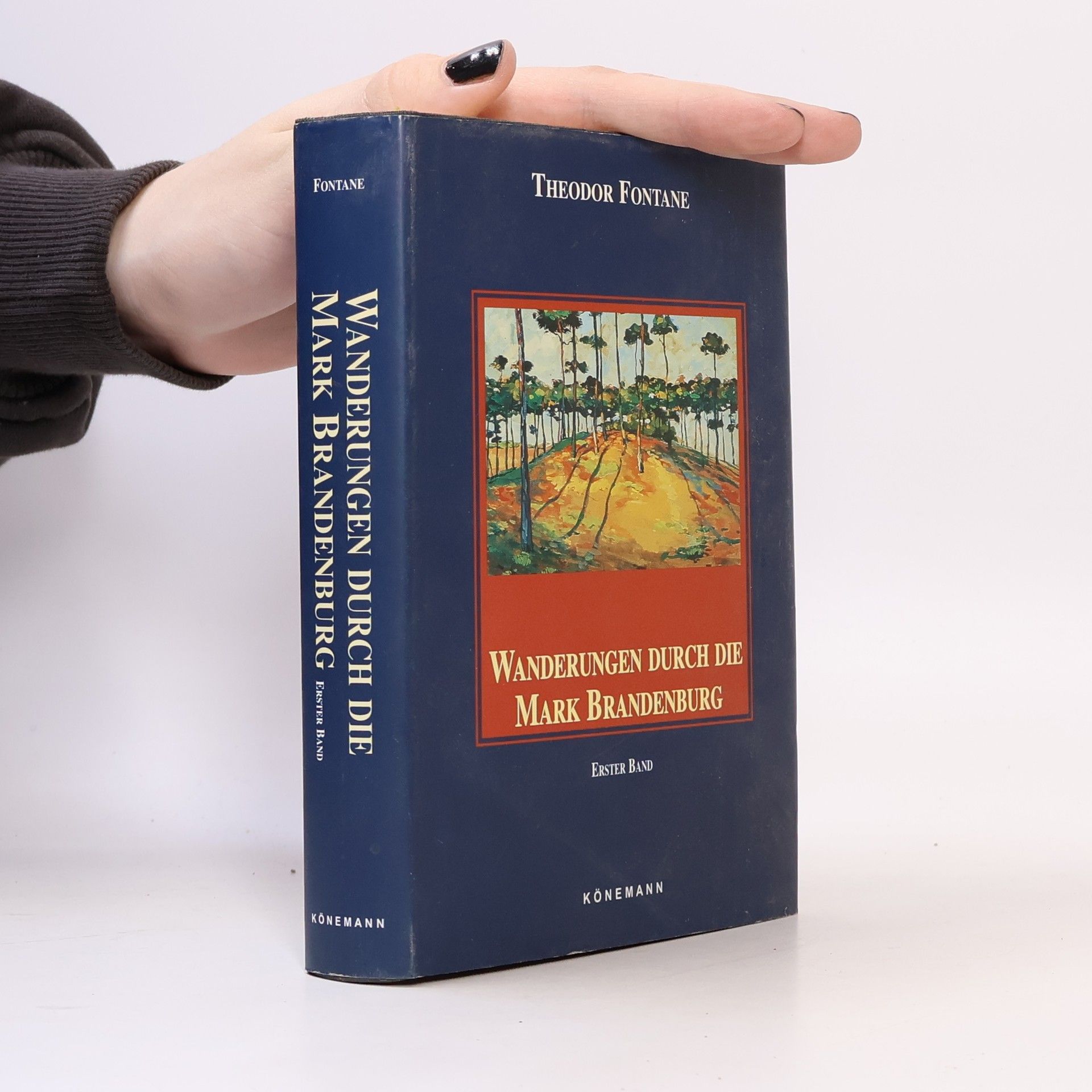 Theodor Fontane Wanderungen durch die Mark Brandenburg. Band 1.