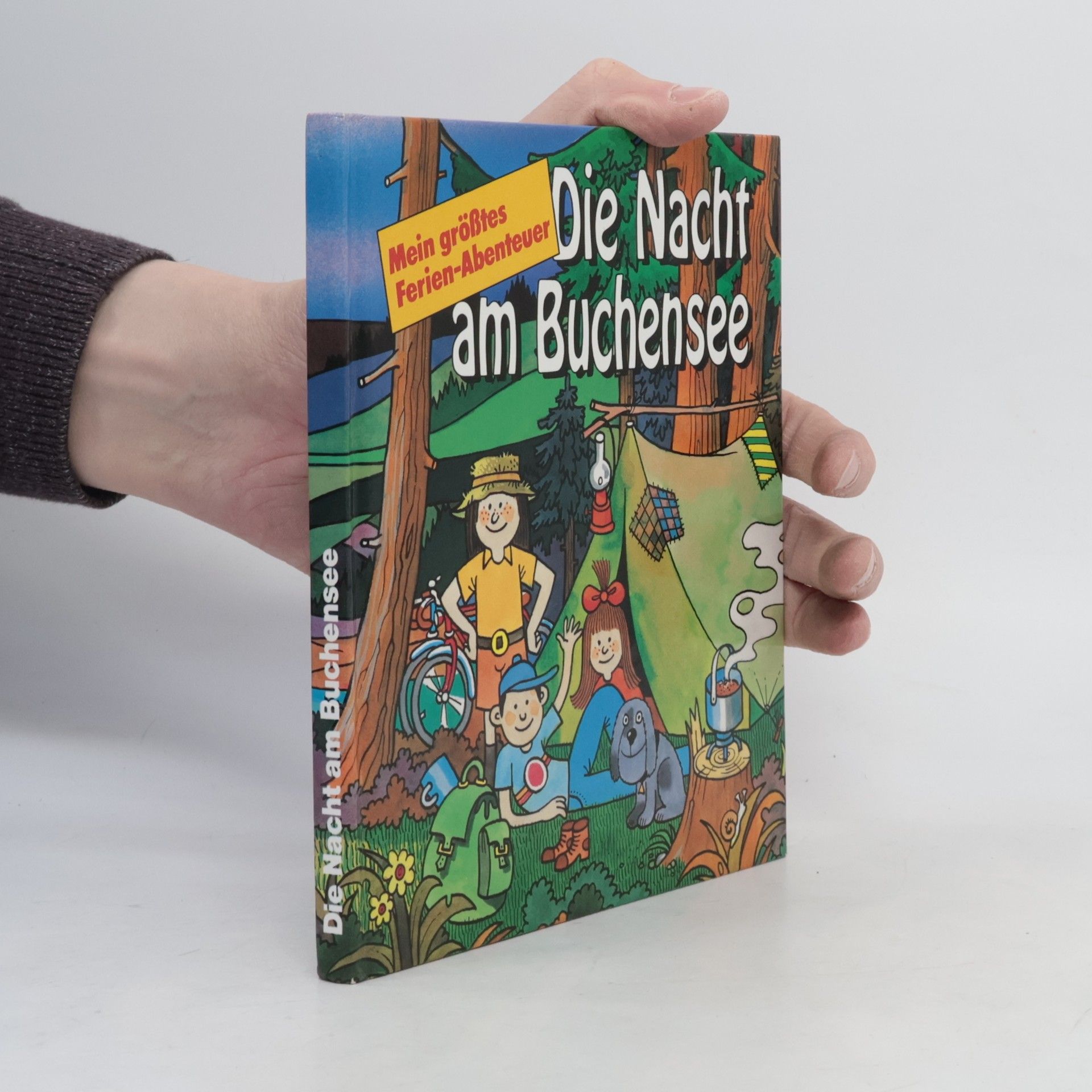 AA.VV. Die Nacht am Buchensee