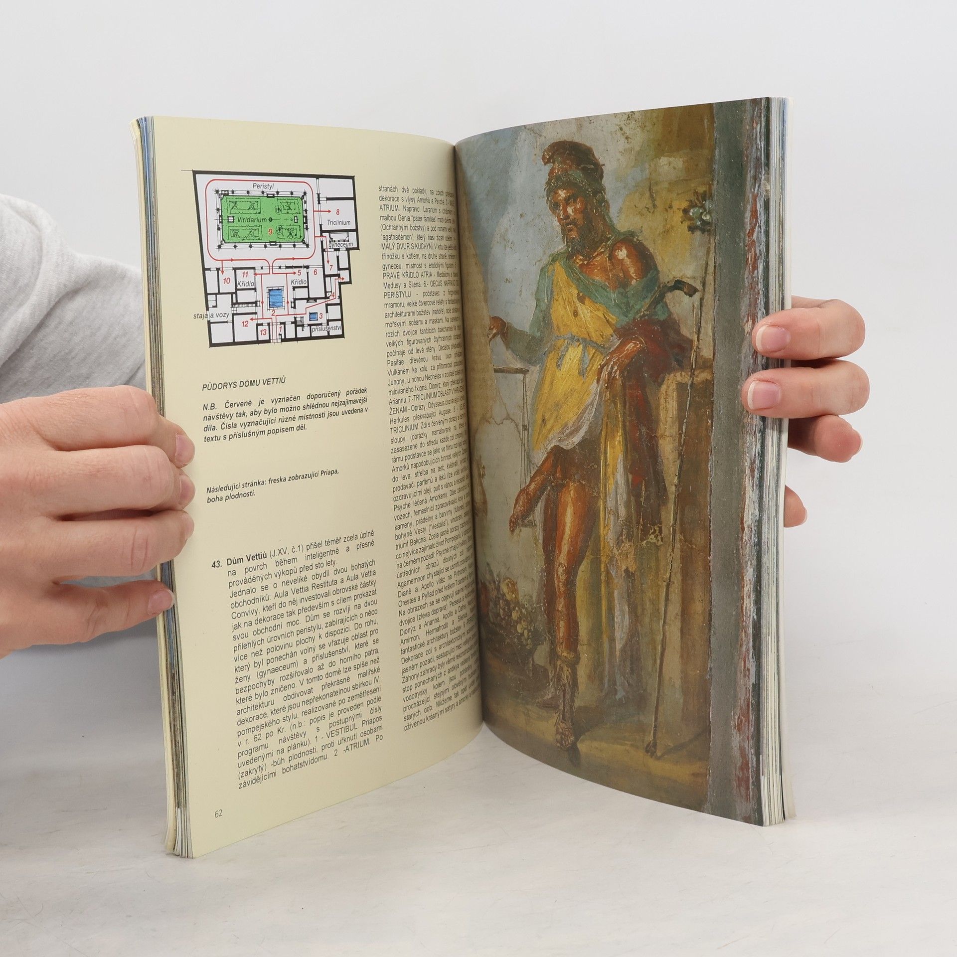 Alberto Carlo Carpiceci Pompeje. Dnes a jak vypadaly před 2000 lety