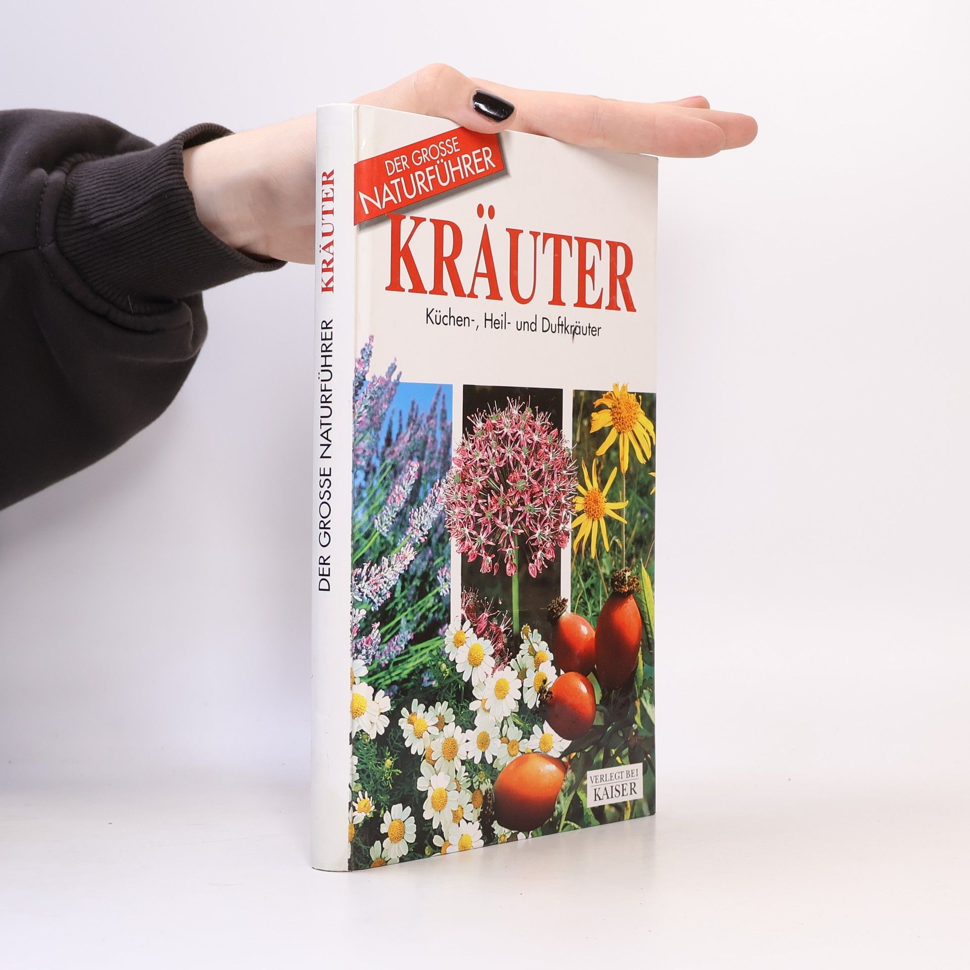 Maria Teresa Della Beffa Kräuter. Küchen-, Heil- und Duftkräuter