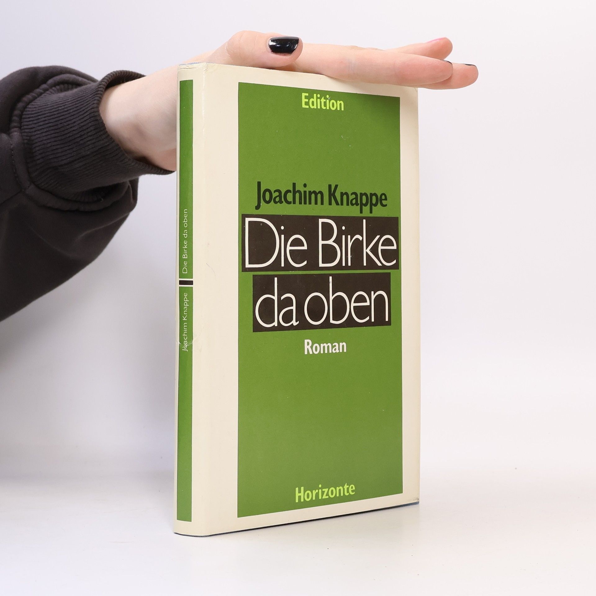 Die Birke da oben