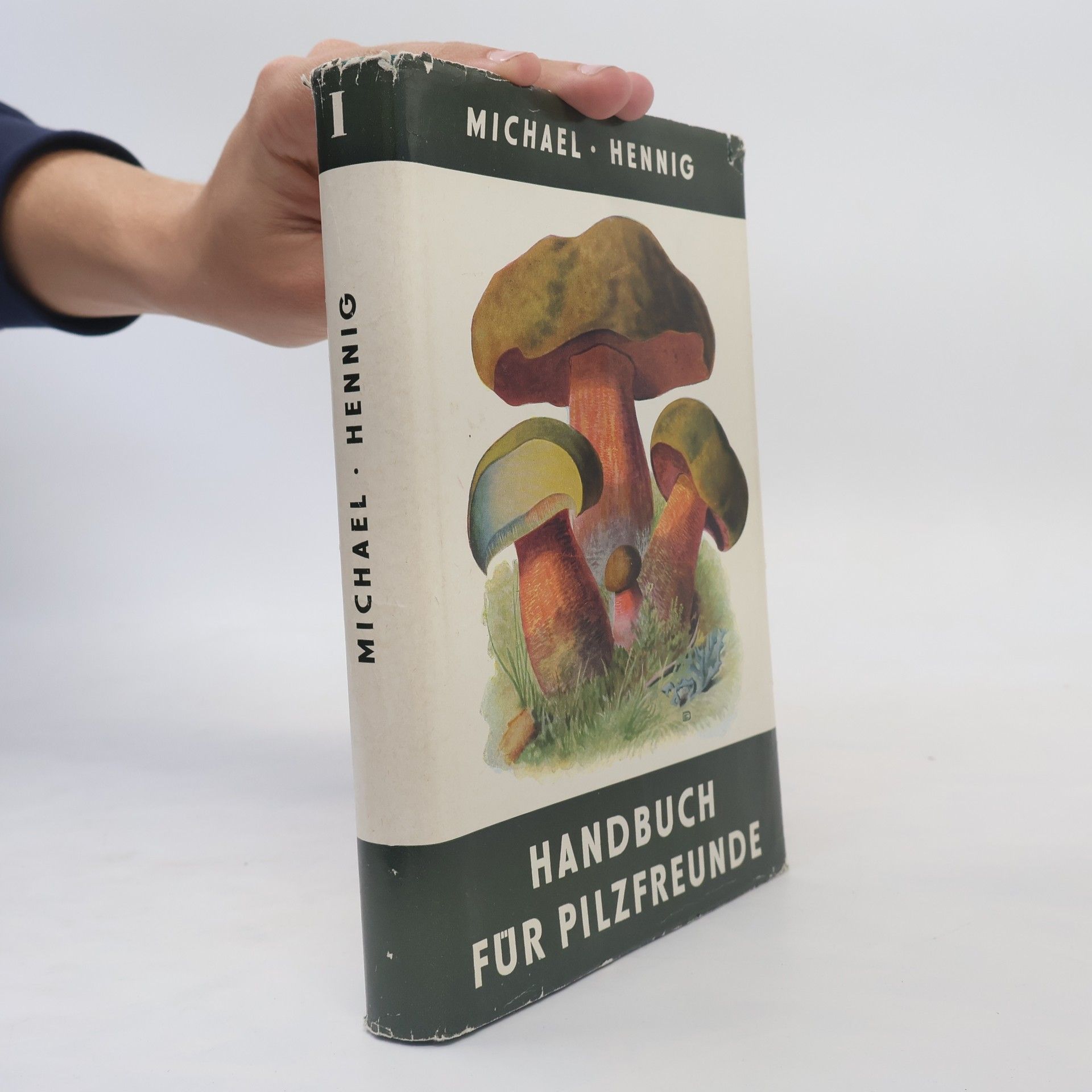 Michael Hennig Handbuch für Pilzfreunde I