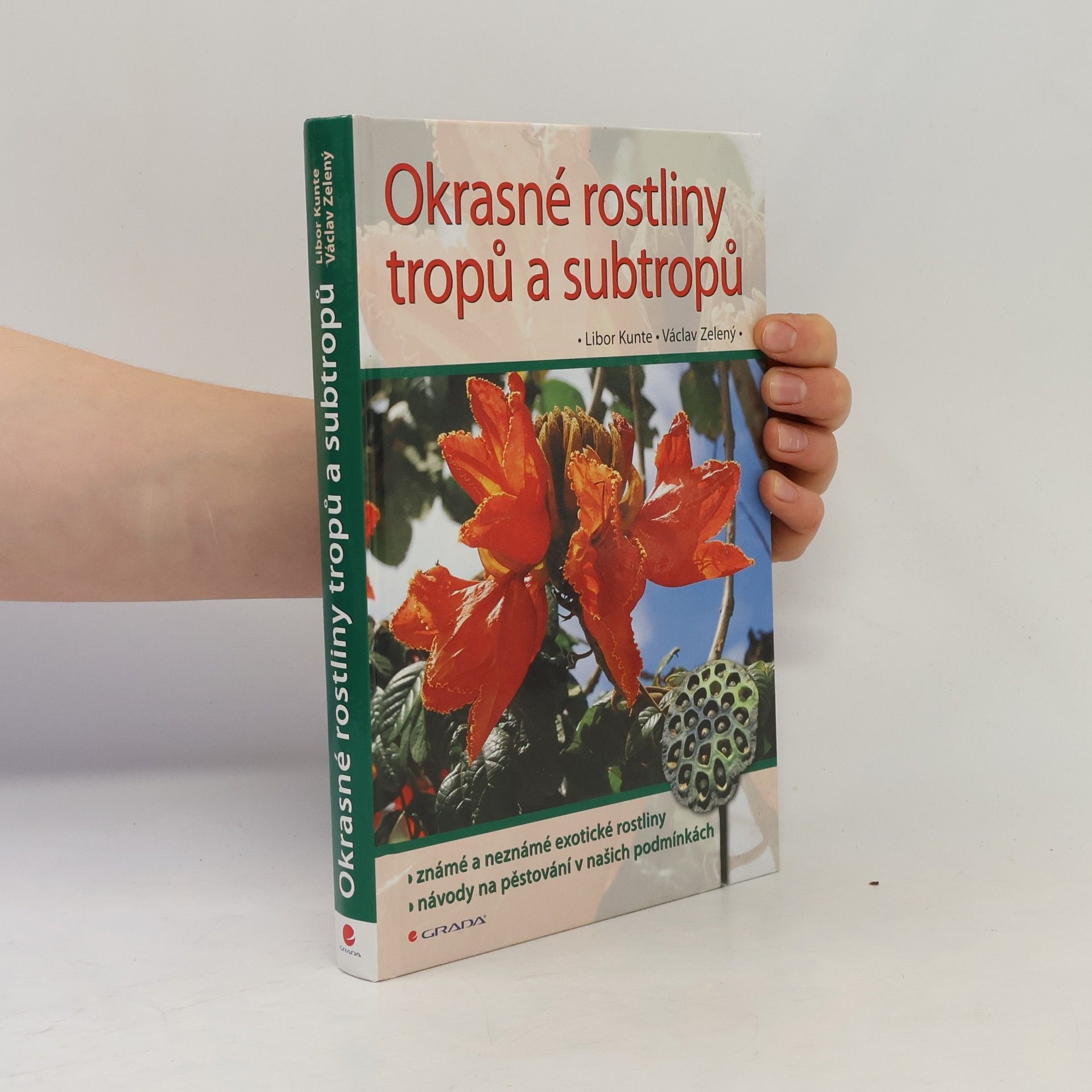 Okrasné rostliny tropů a subtropů