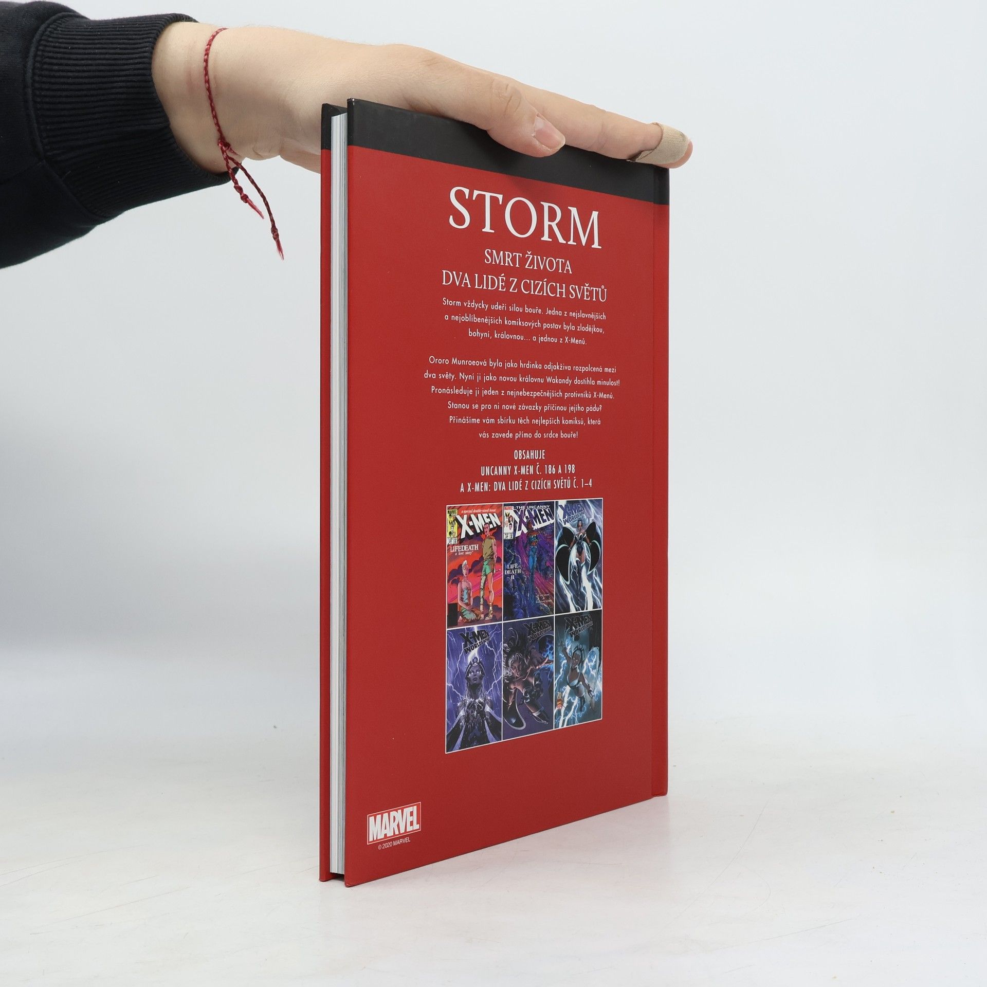 Autorenkollektiv Storm