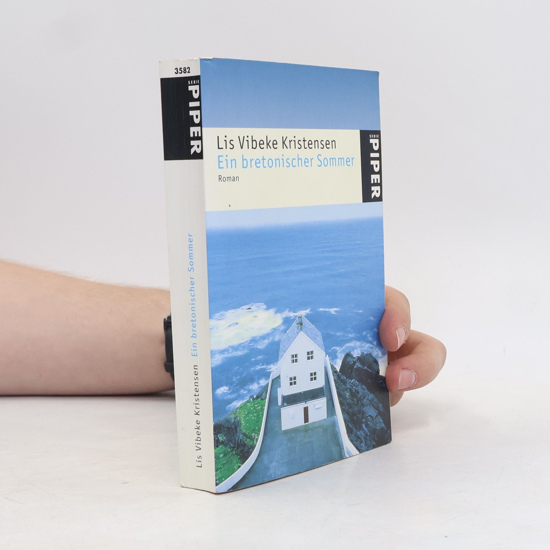 Lis Vibeke Kristensen Ein bretonischer Sommer