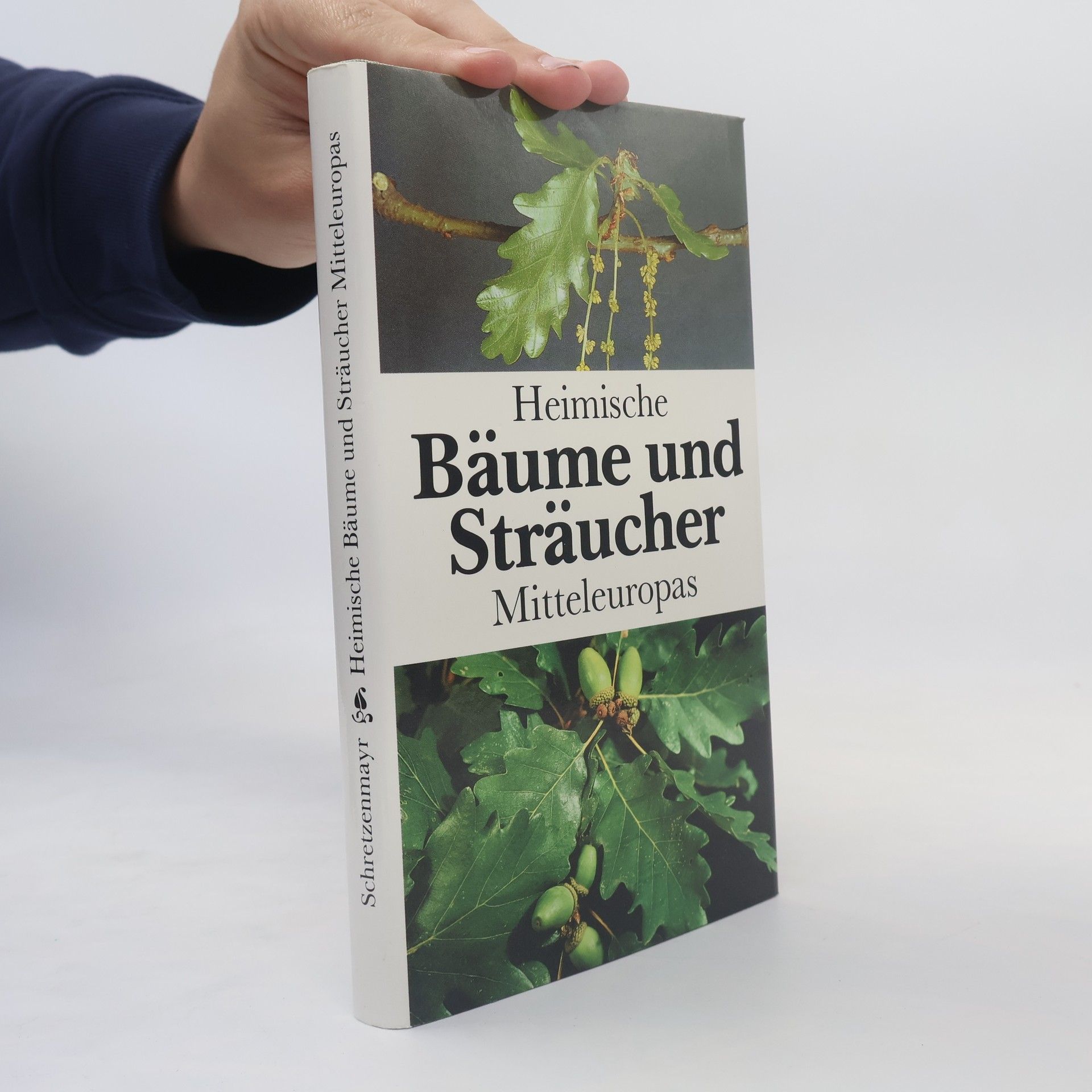 Autorenkollektiv Heimische Bäume und Sträucher Mitteleuropas