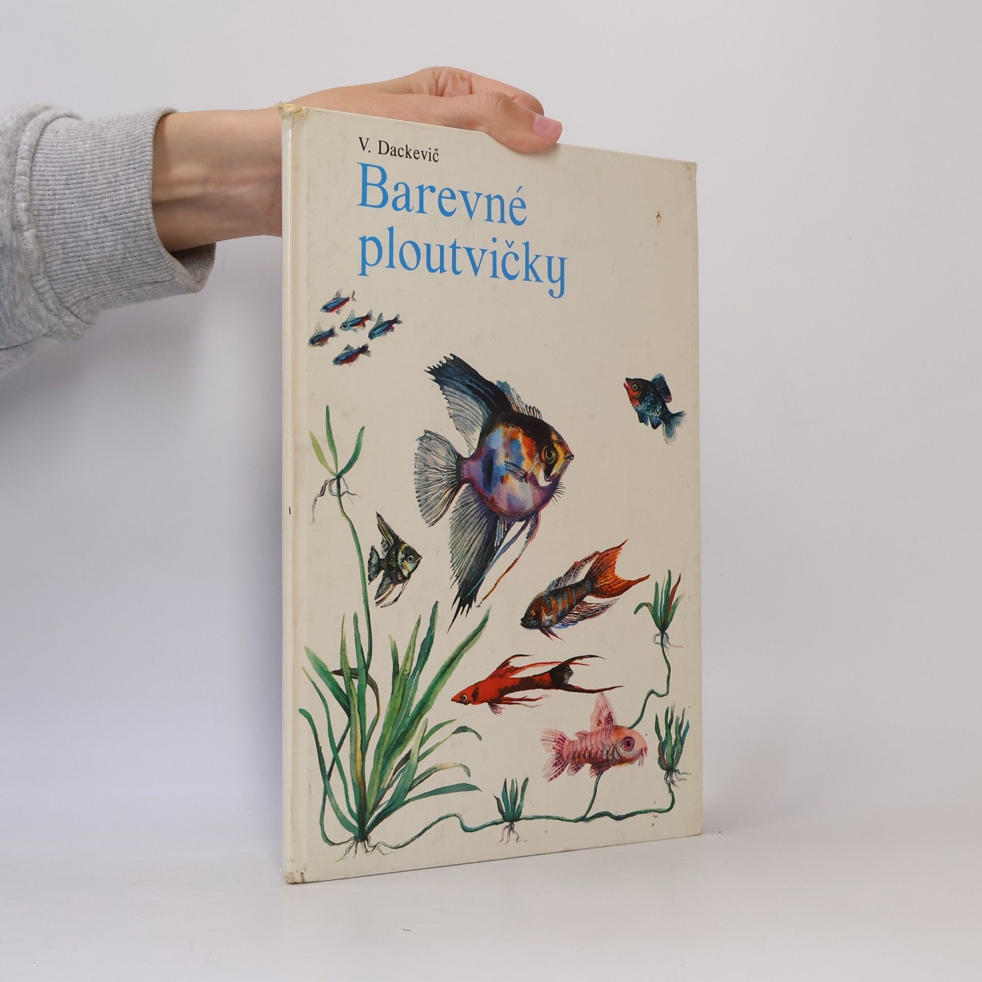 Barevné ploutvičky