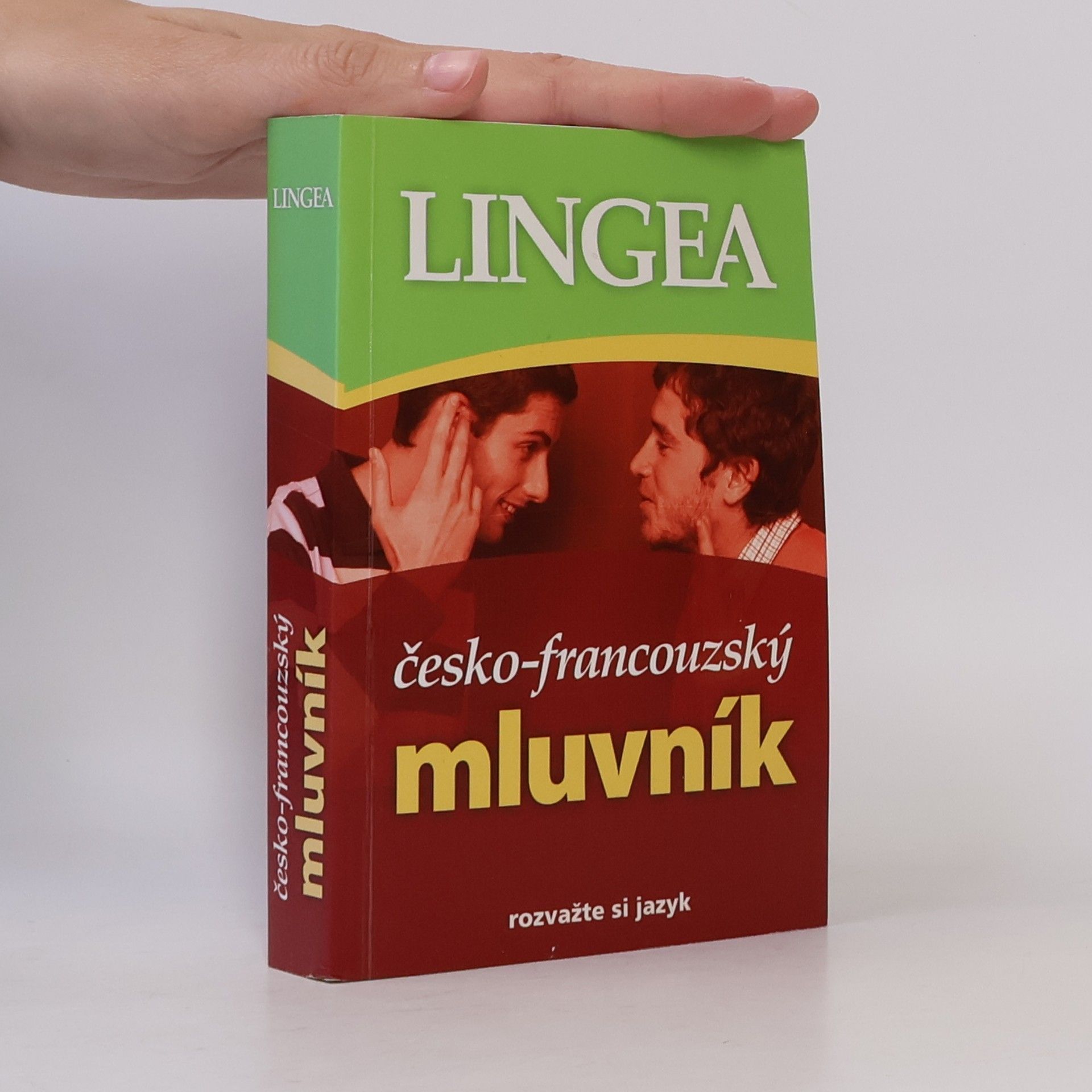 Kolektiv autorů Česko-francouzský mluvník