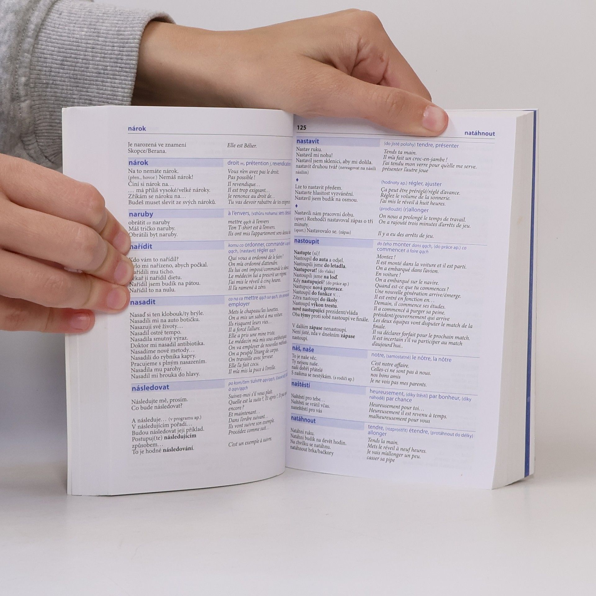Various authors Česko-francouzský mluvník
