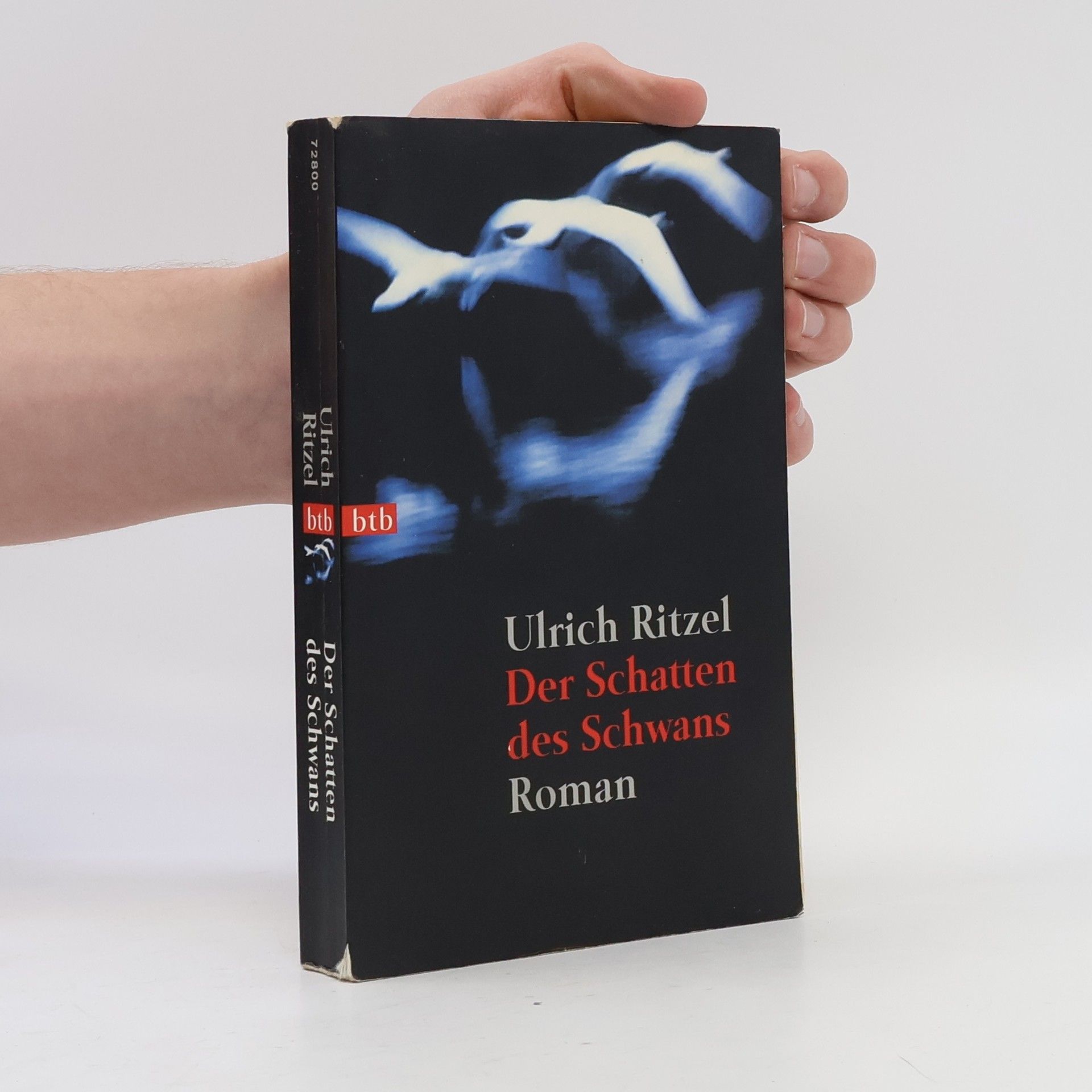 Ulrich Ritzel Der Schatten des Schwans