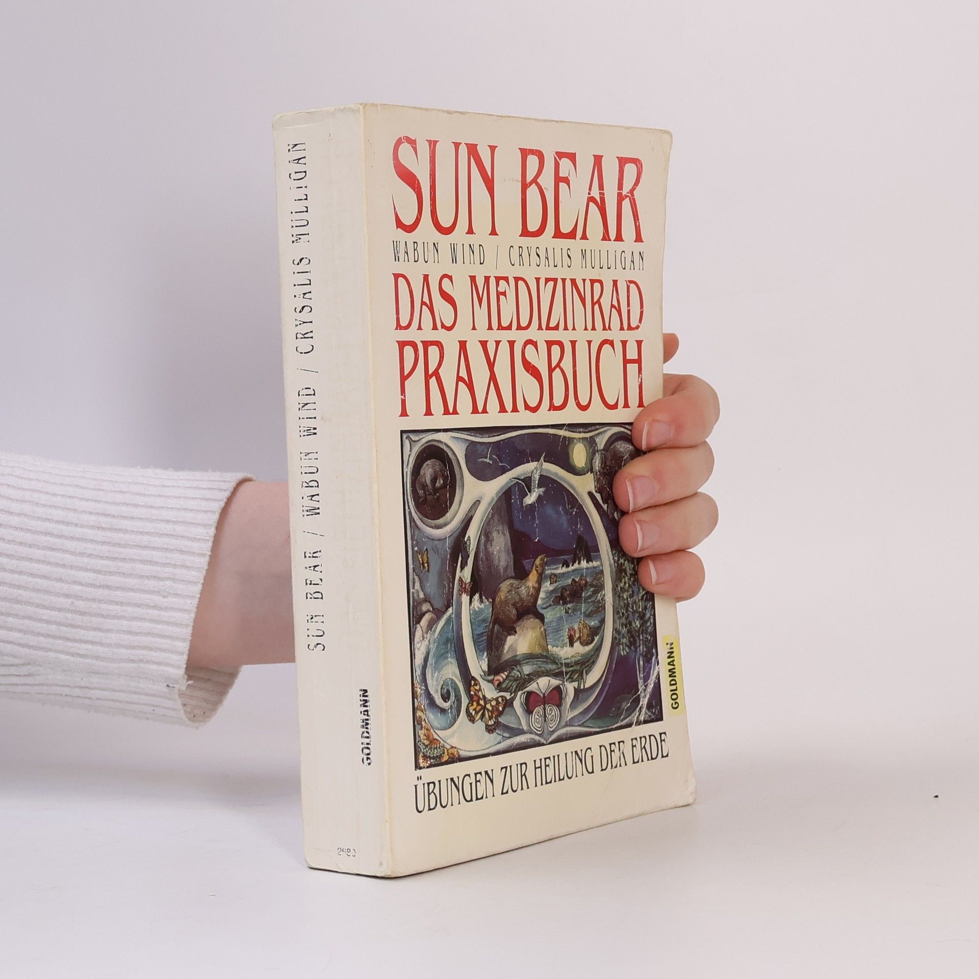 Das Medizinrad Praxisbuch. Übungen zur Heilung der Erde.