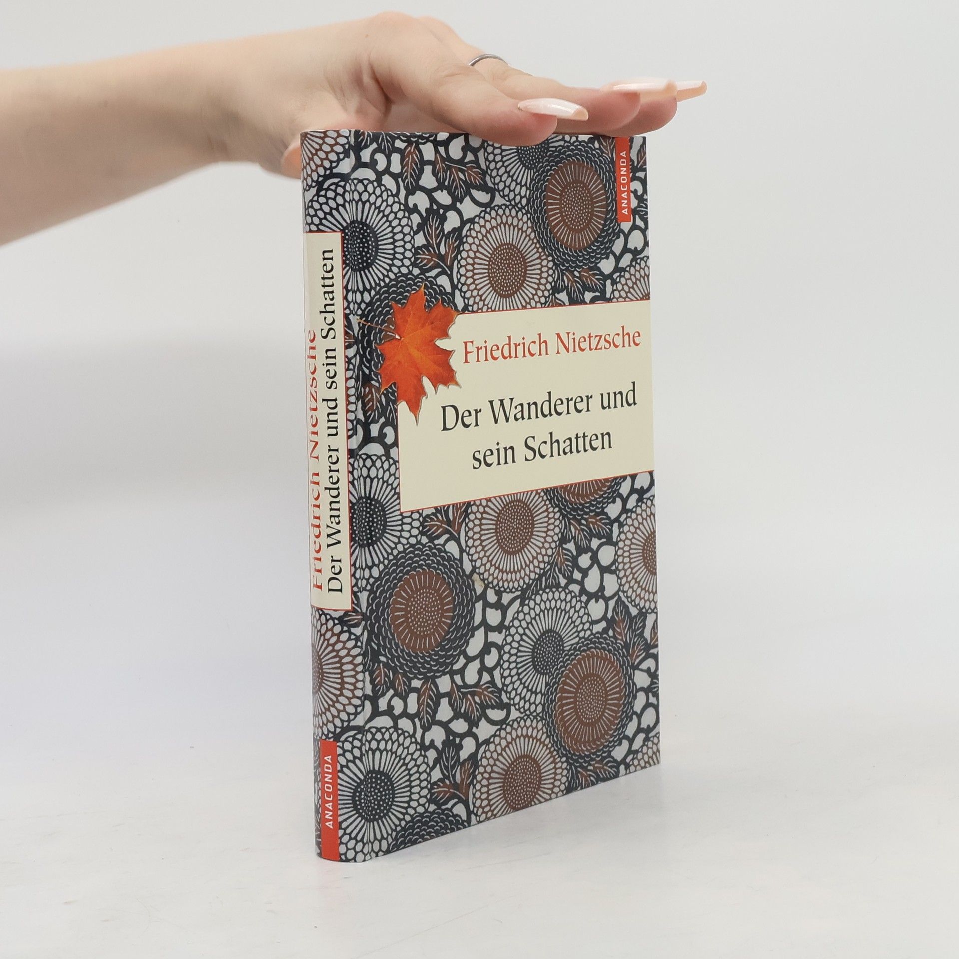 Friedrich Nietzsche Der Wanderer und sein Schatten