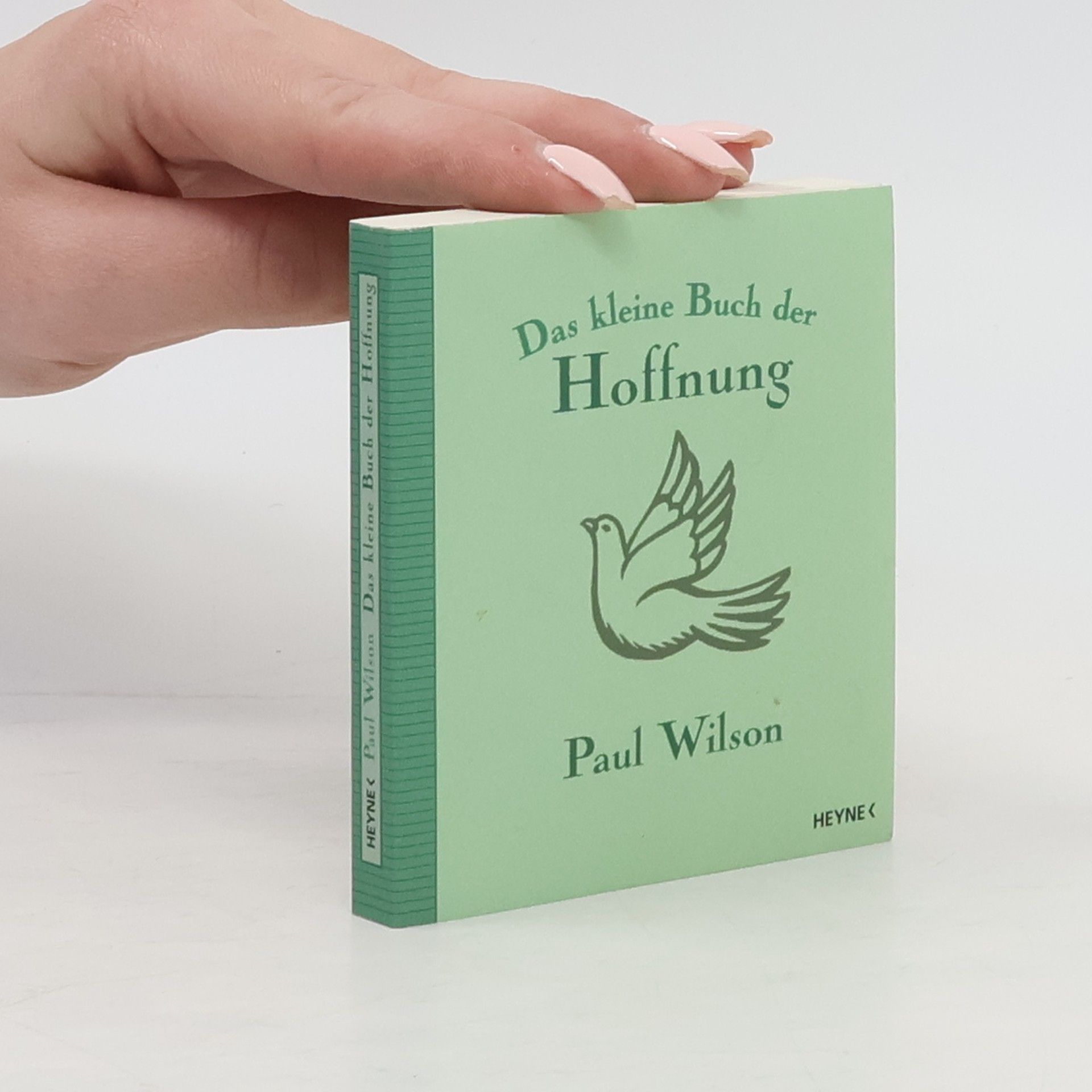 Paul Wilson Das kleine Buch der Hoffnung