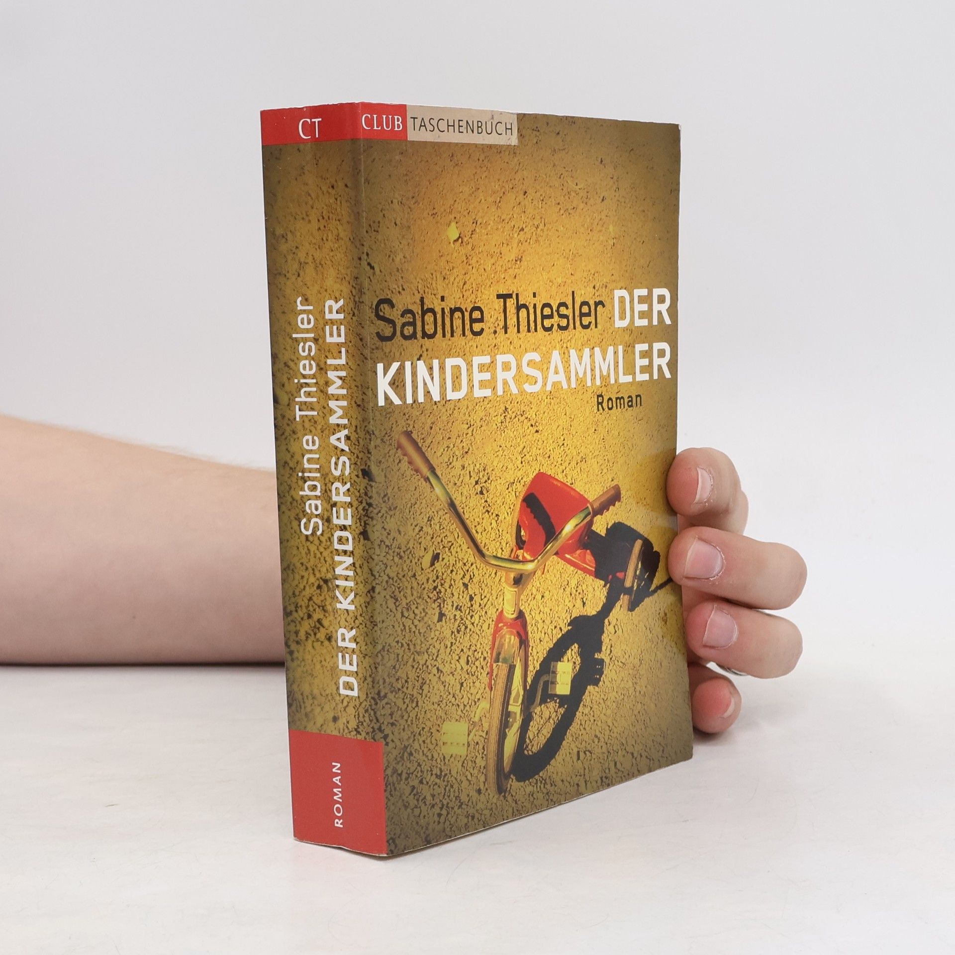 Sabine Thiesler Der Kindersammler