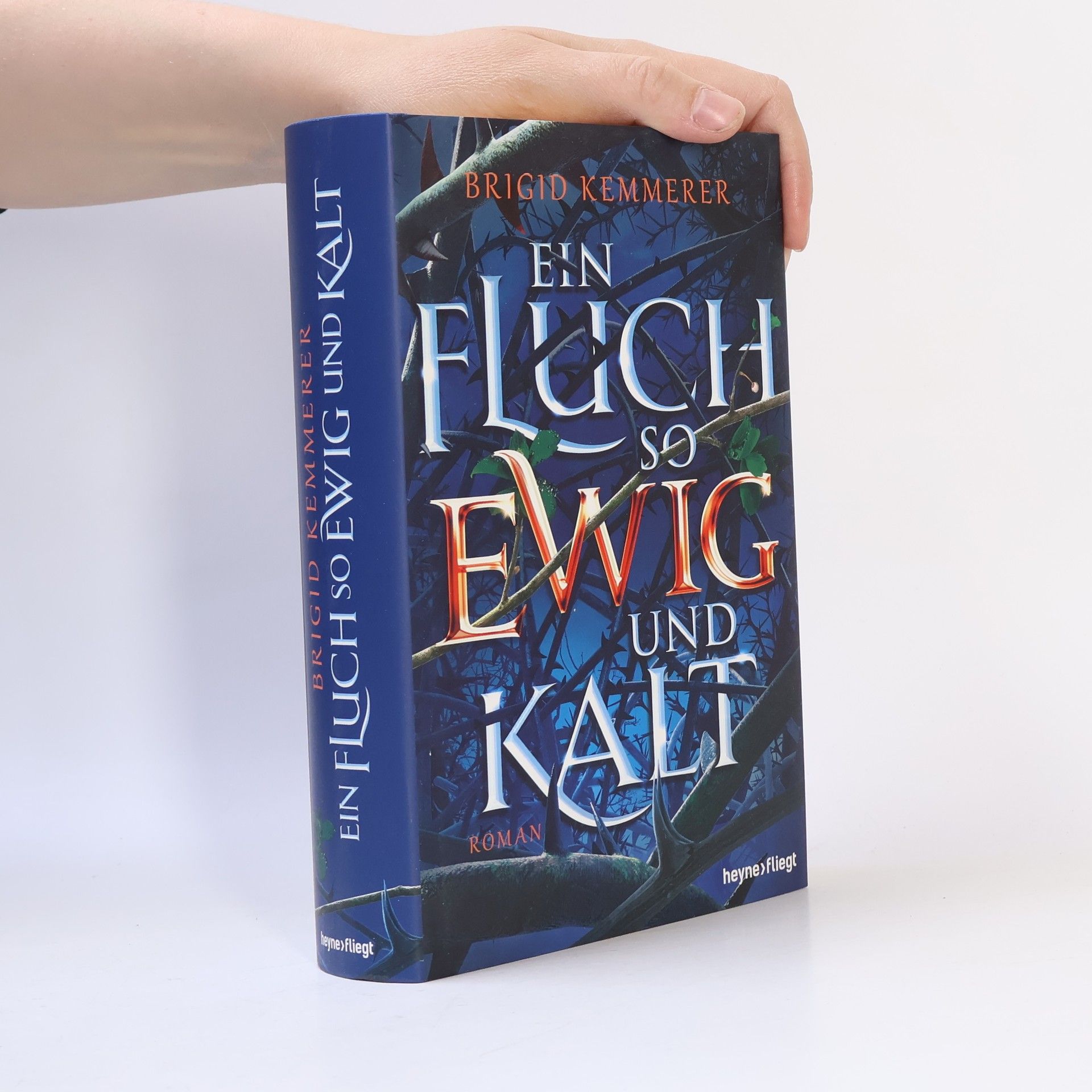 Brigid Kemmerer Ein Fluch so ewig und kalt