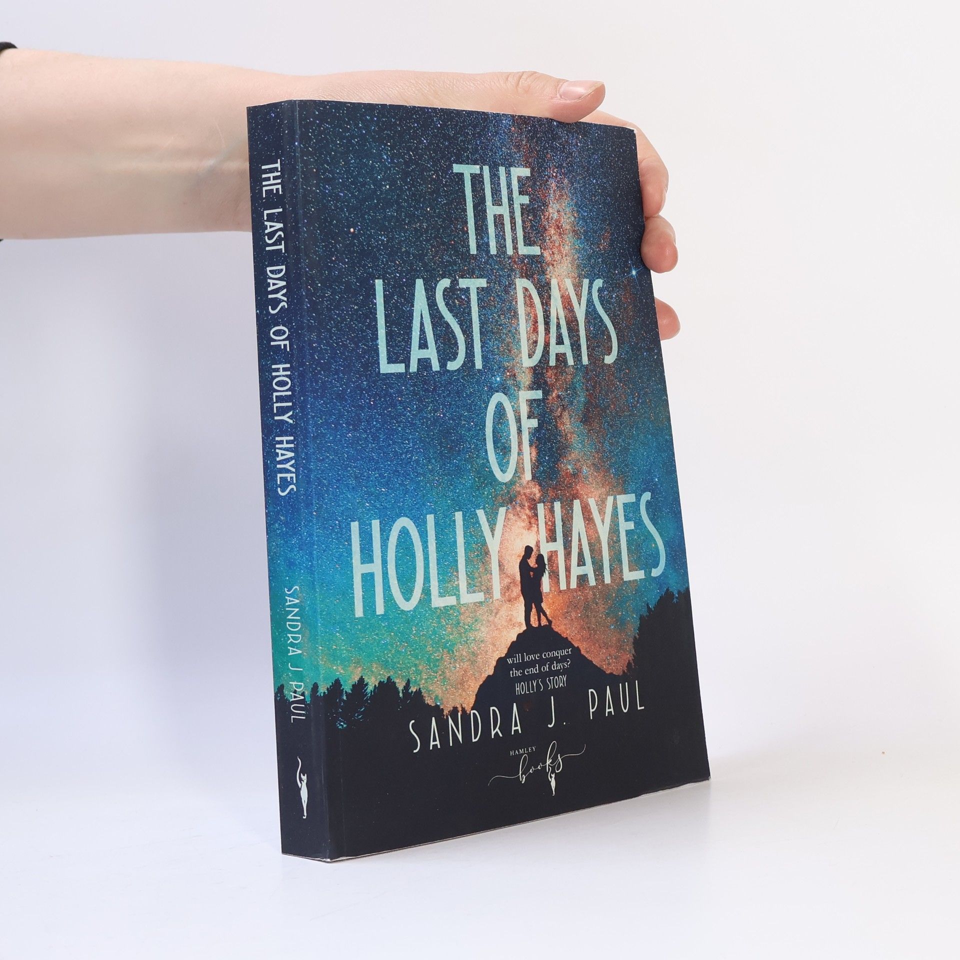 Sandra J. Paul The Last Days of Holly Hayes