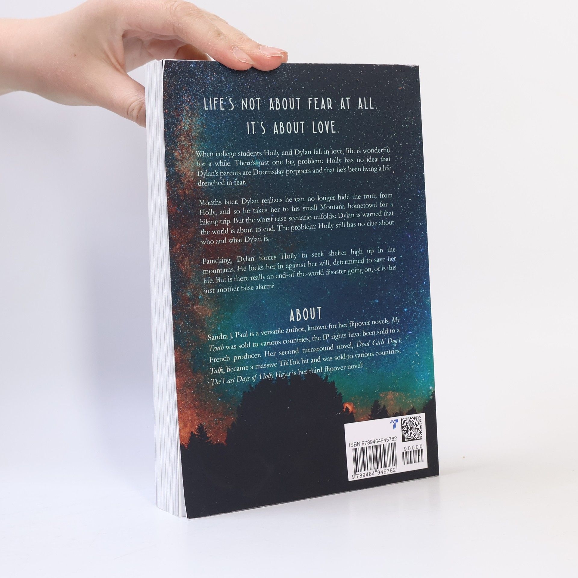 Sandra J. Paul The Last Days of Holly Hayes