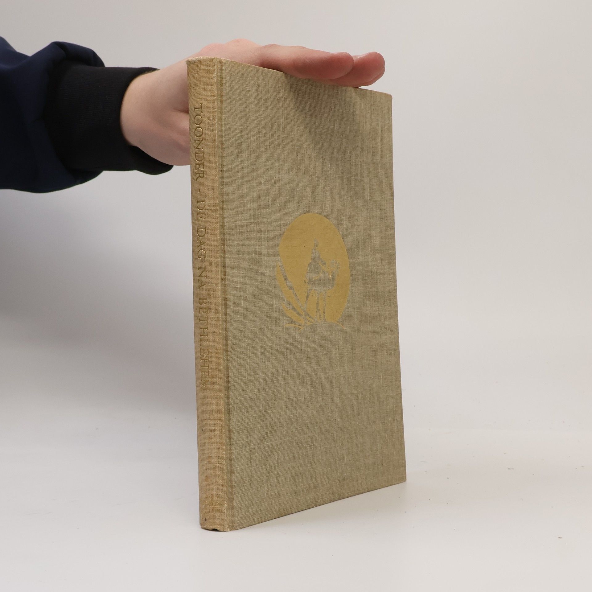 Jan Gerhard Toonder De dag na Bethlehem