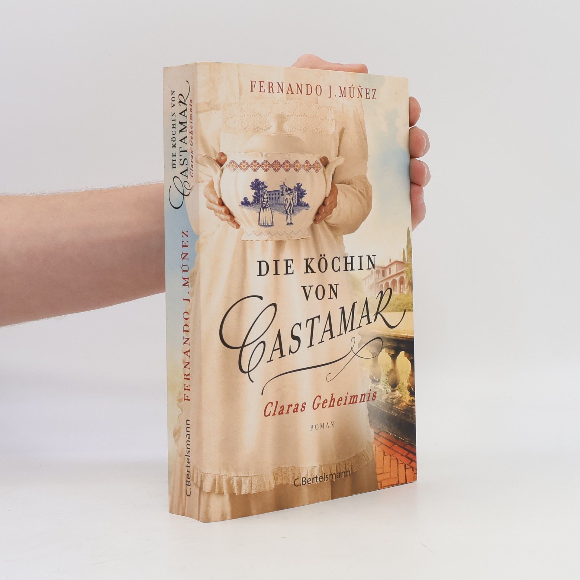 Fernando J. Múňez Die Köchin von Castamar