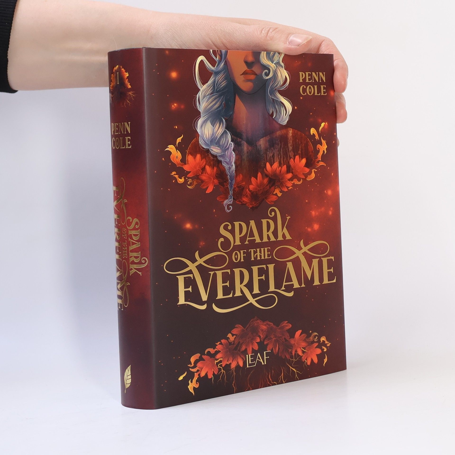 Penn Cole Spark of the Everflame / Kindred´s Curse Saga Bd.1