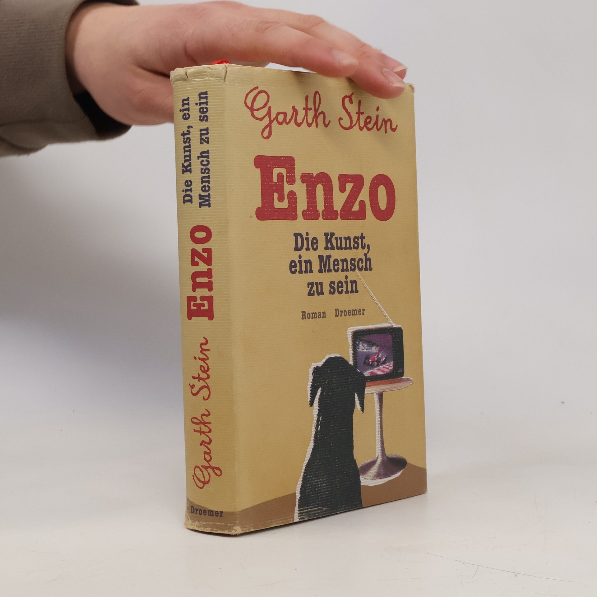 Garth Stein Enzo