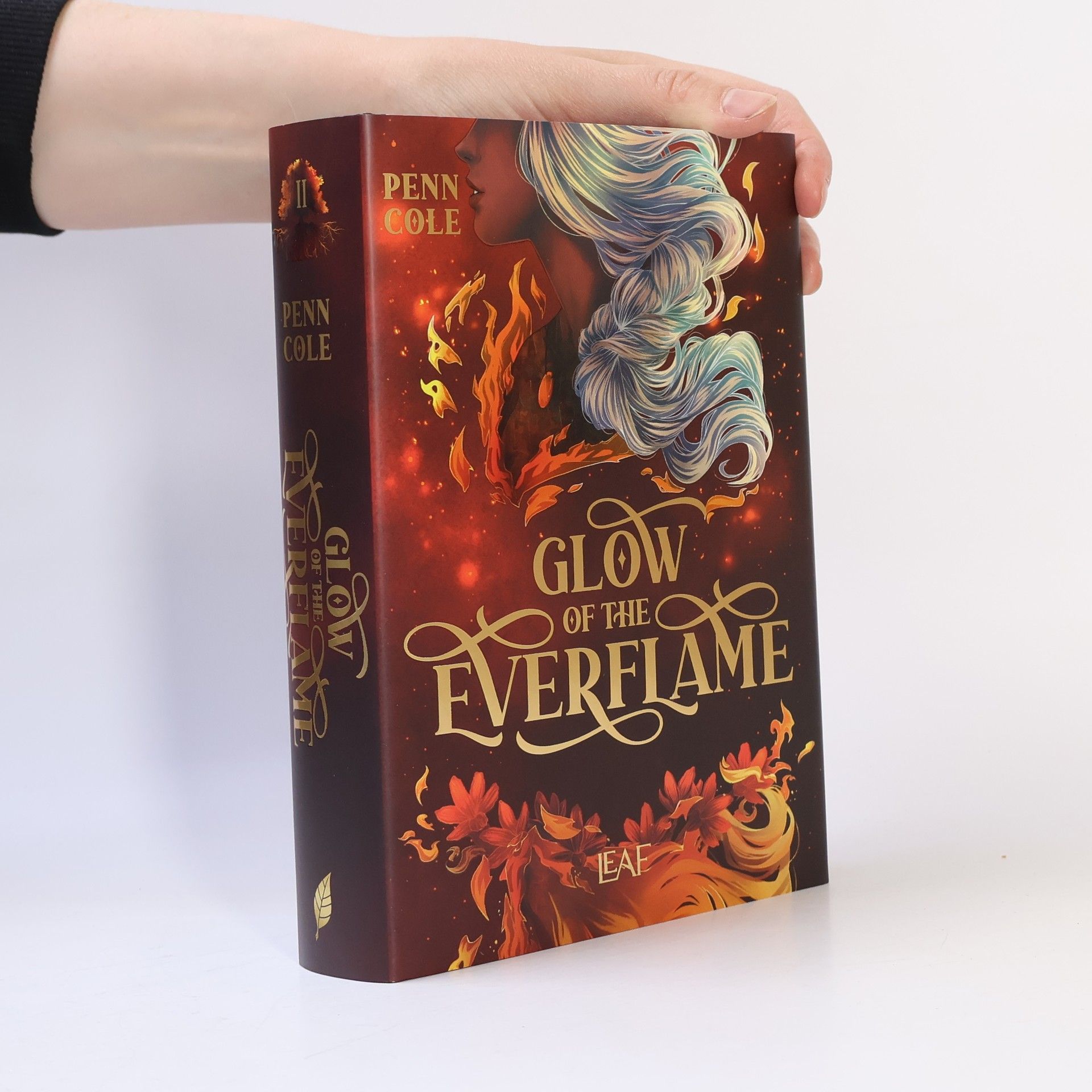 Penn Cole Glow of the Everflame / Kindred´s Curse Saga Bd.2