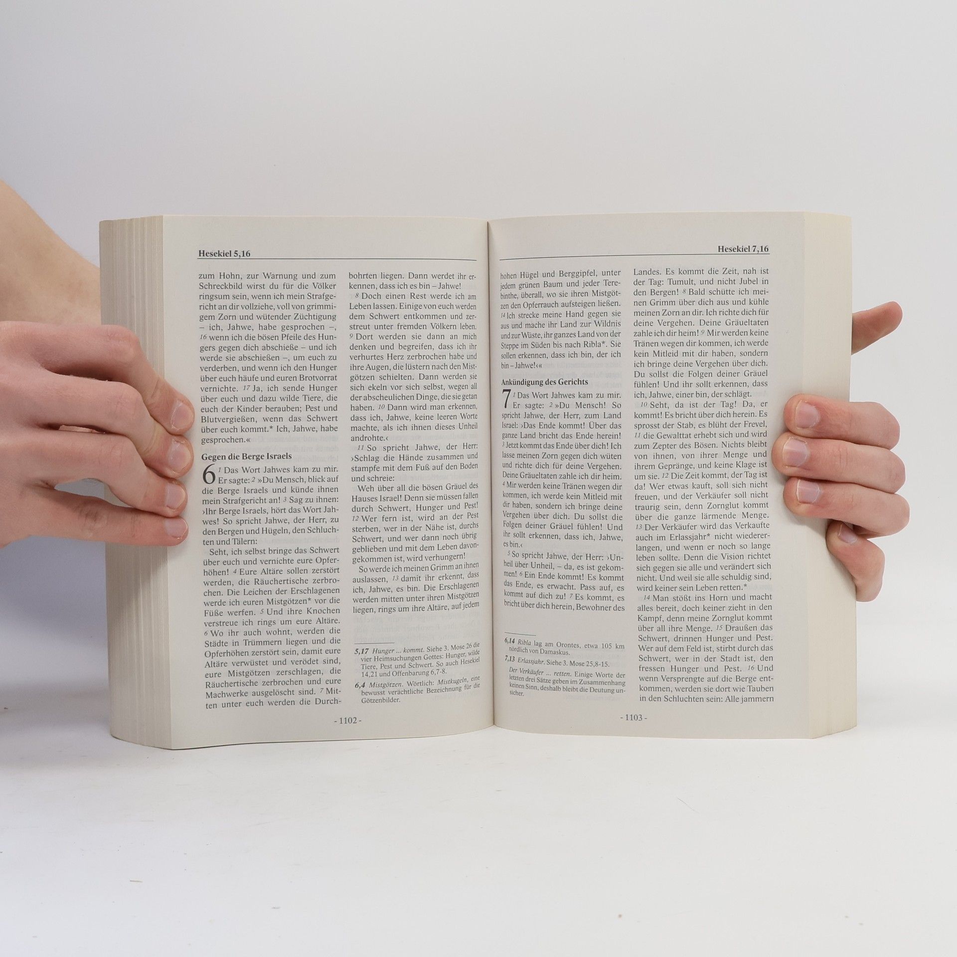 Autorenkollektiv Bibel.heute