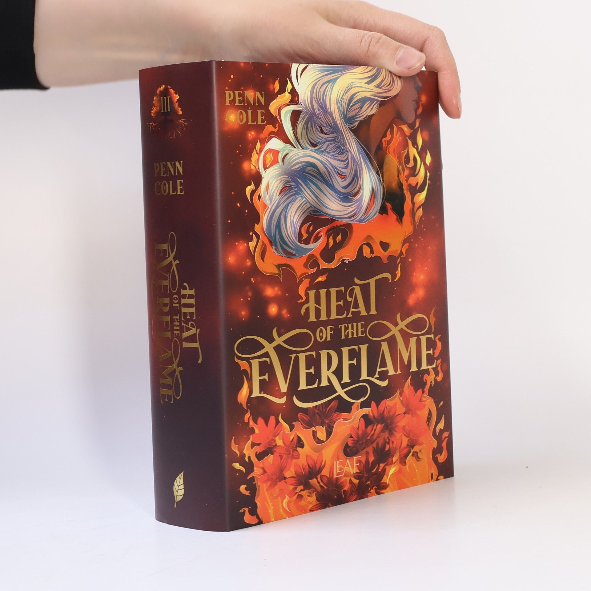 Penn Cole Heat of the Everflame / Kindred´s Curse Saga Bd.3