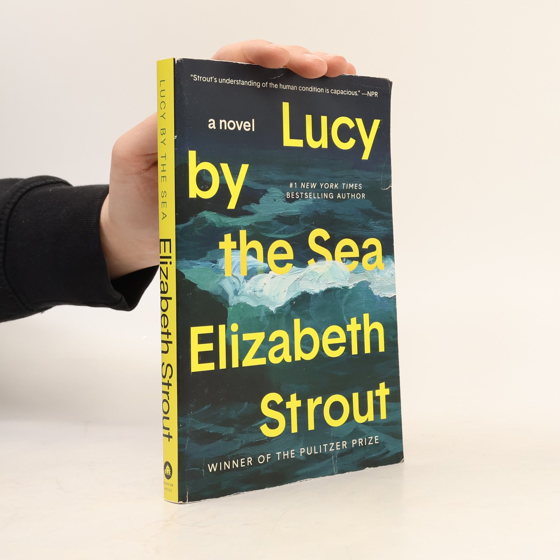 Elizabeth Strout Lucy by the Sea