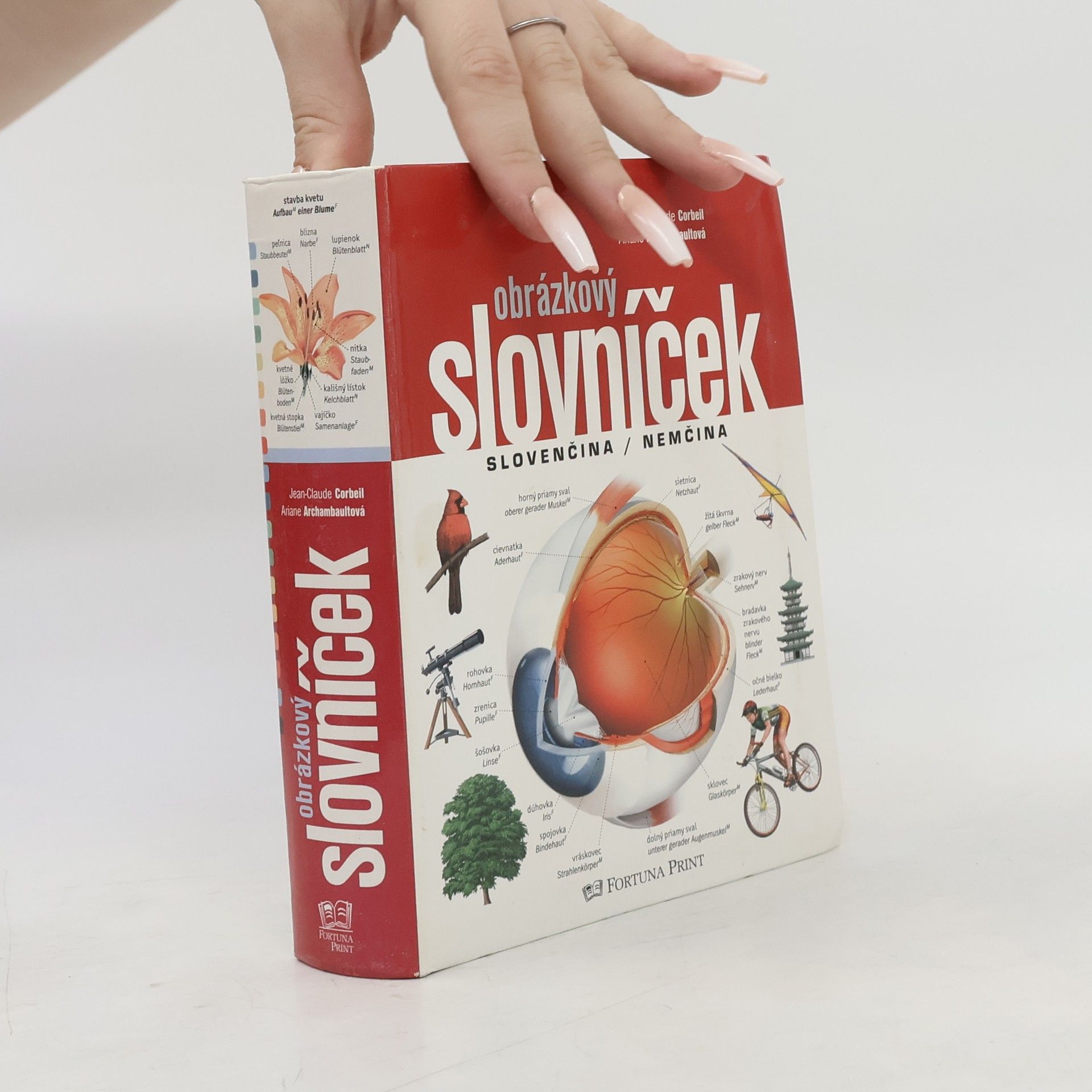 Ariane Archambault Obrázkový slovníček slovenčina / nemčina