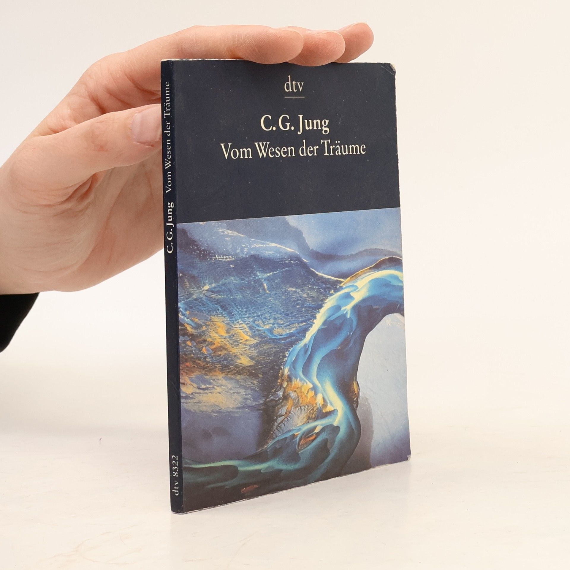 Carl Jung Vom Wesen der Träume