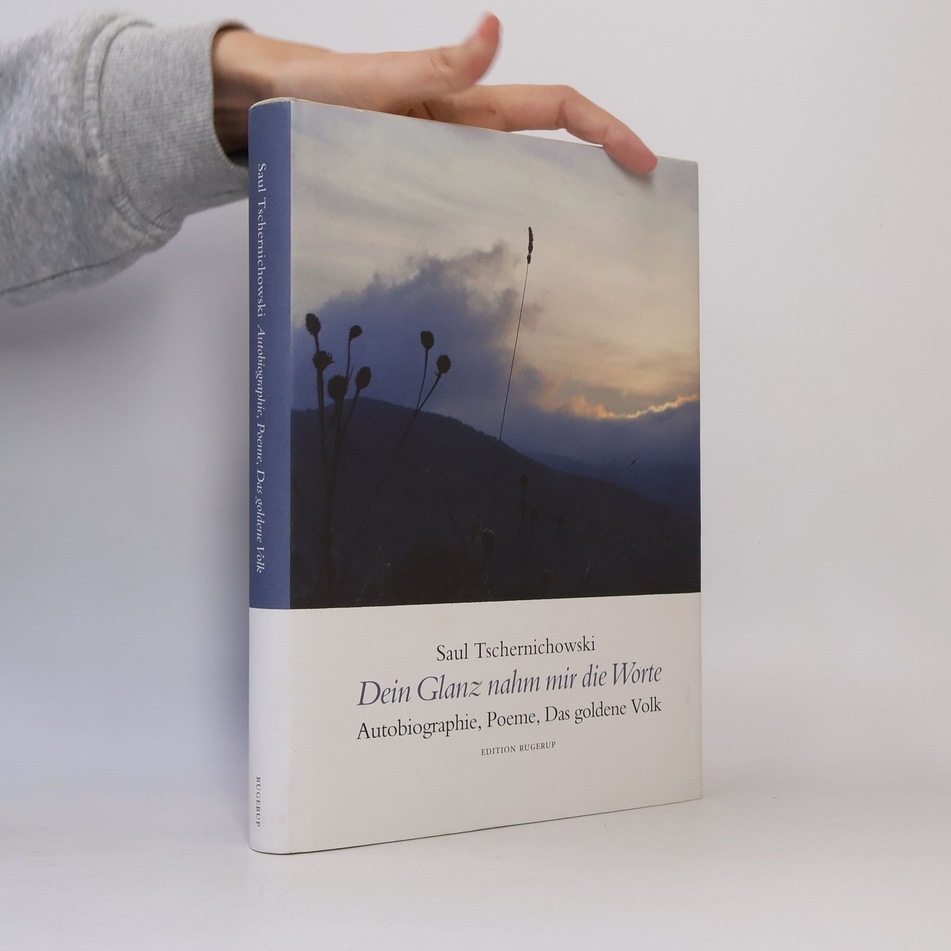 Saul Tschernichowski Dein Glanz nahm mir die Worte