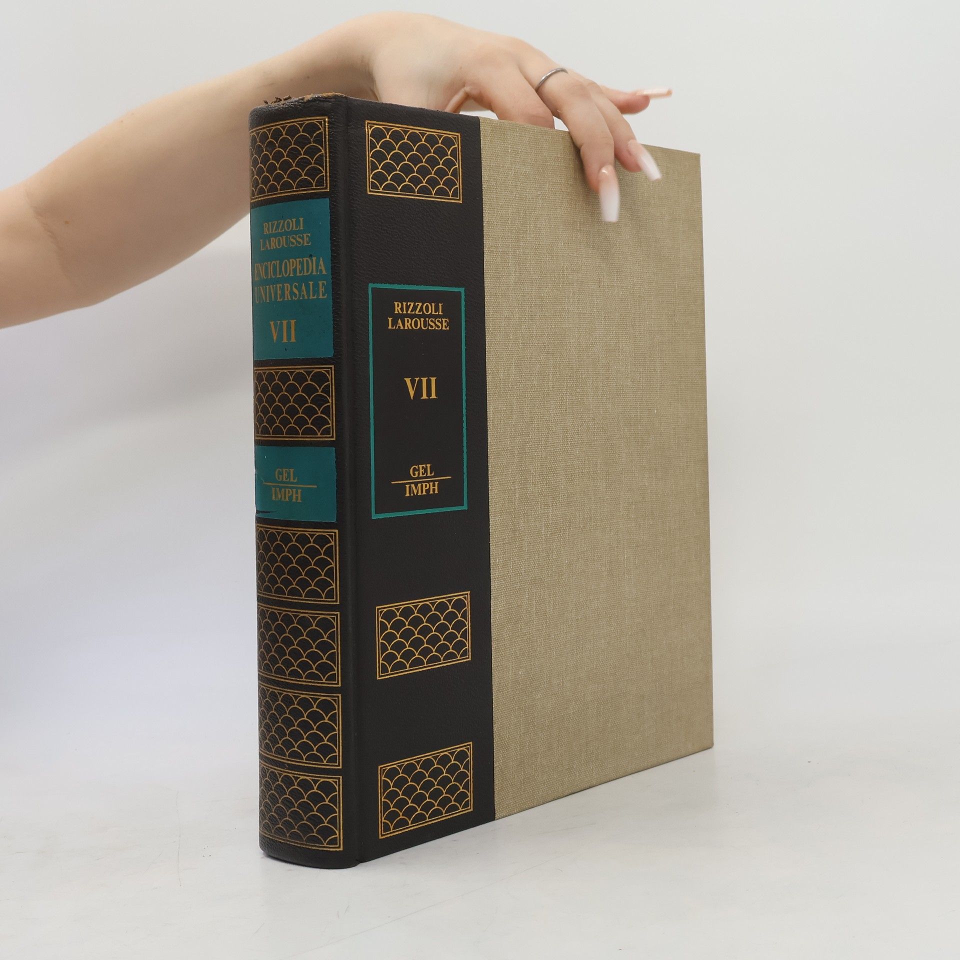 Collectif d'auteurs Enciclopedia Universale Rizzoli Larousse VII.