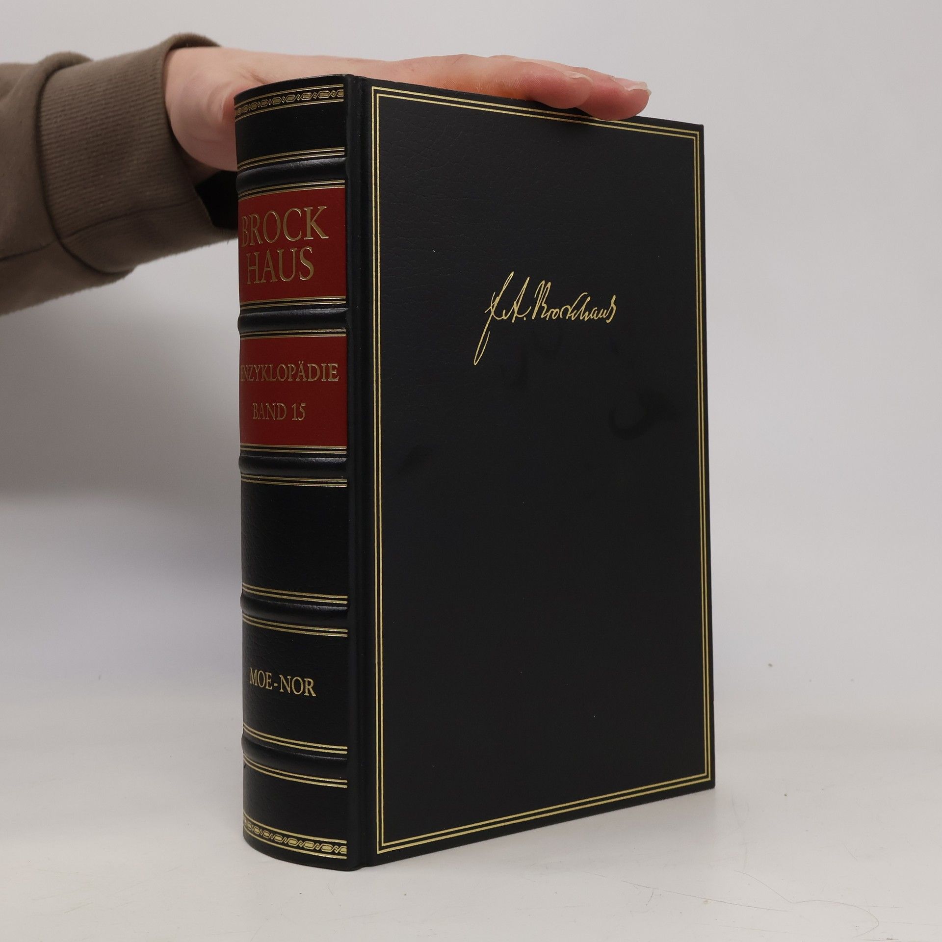 Kolektiv autorů Brockhaus. Enzyklopädie. MOE-NOR. Band 15