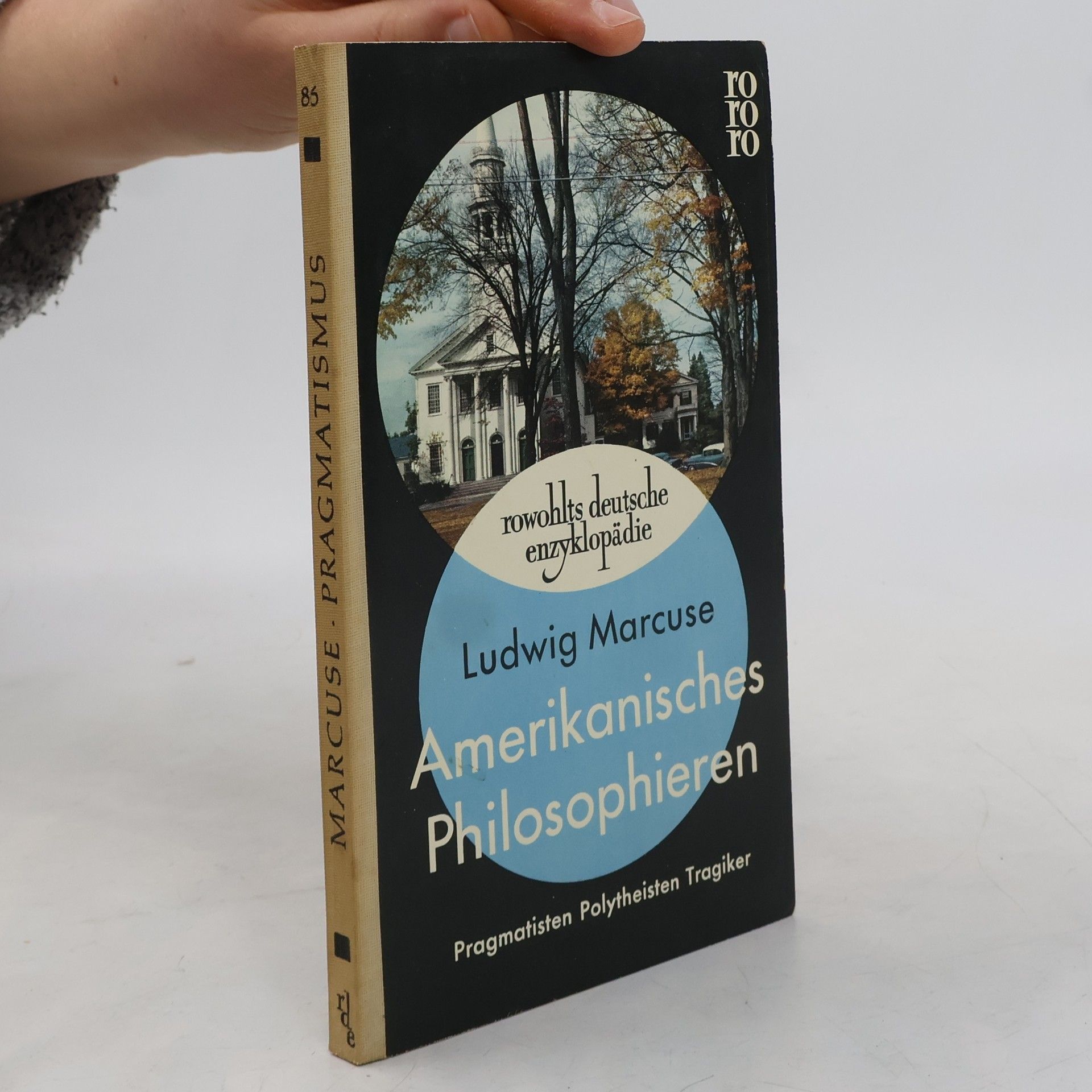 Amerikanisches Philosophieren