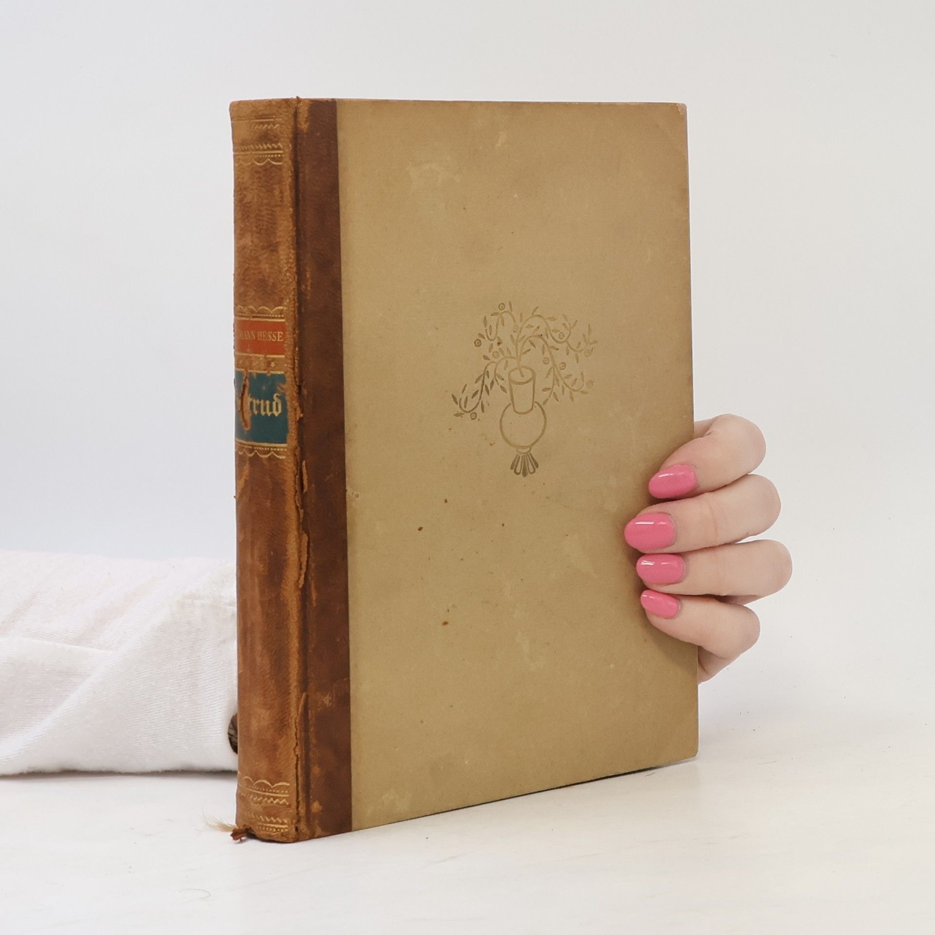 Hermann Hesse Gertrud