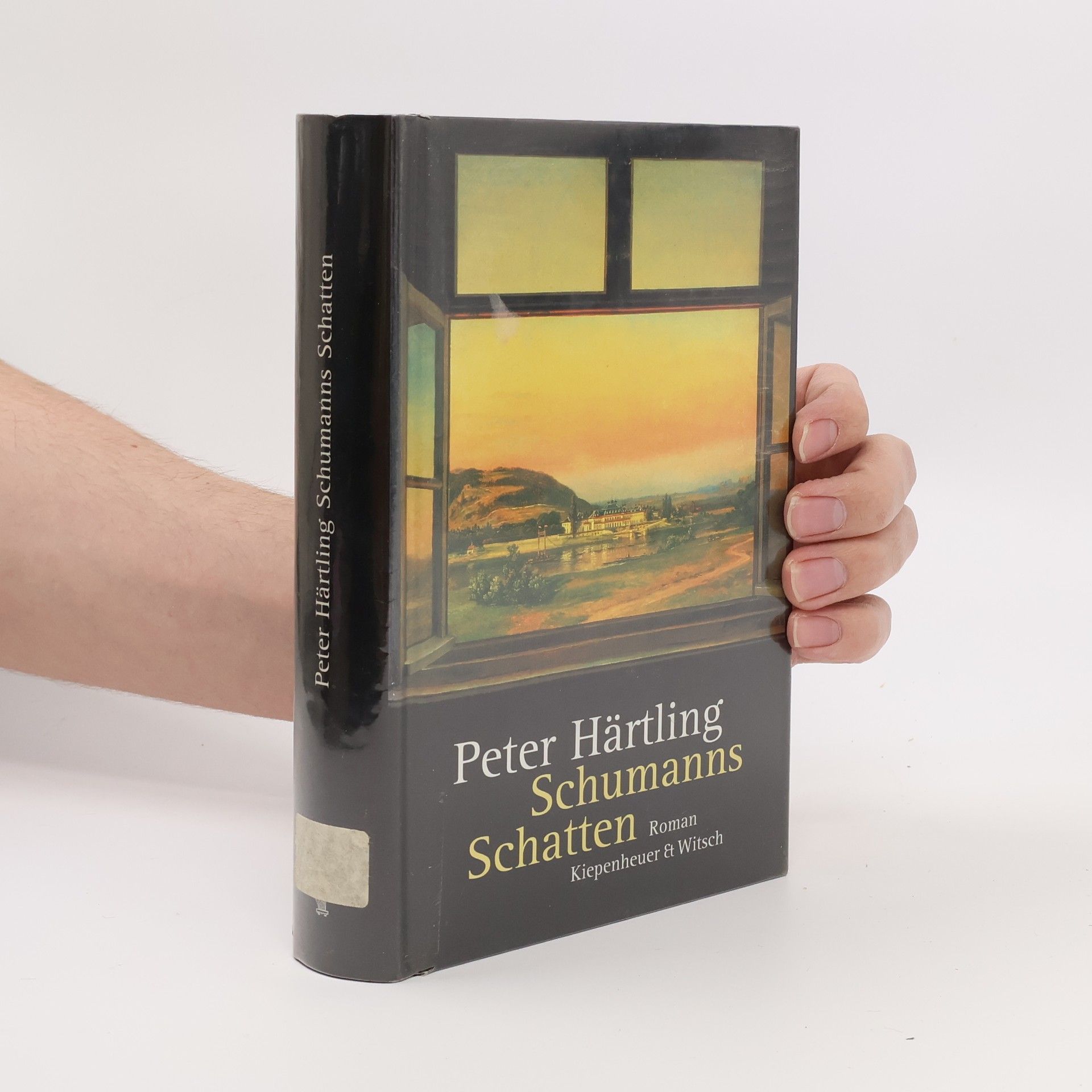 Peter Härtling Schumanns Schatten