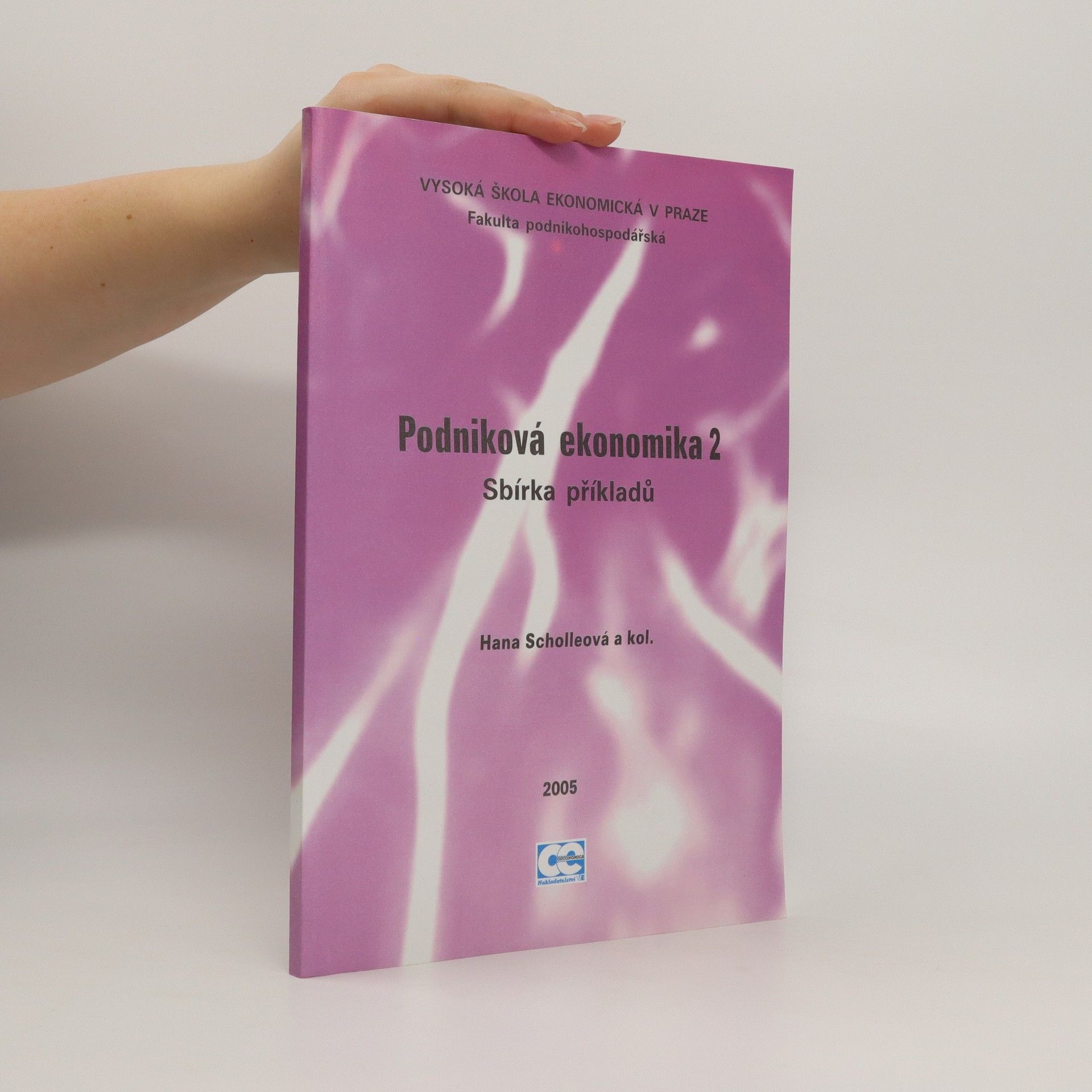 Hana Scholleová Podniková ekonomika 2: sbírka příkladů