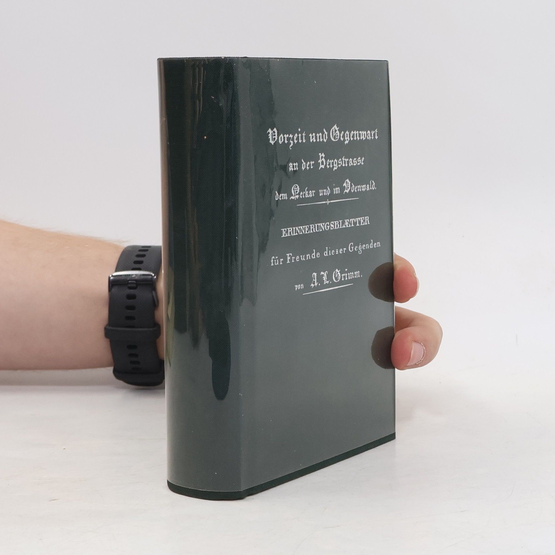 Albert Ludwig Grimm Vorzeit und Gegenwart an der Bergstrasse, dem Neckar und im Odenwald