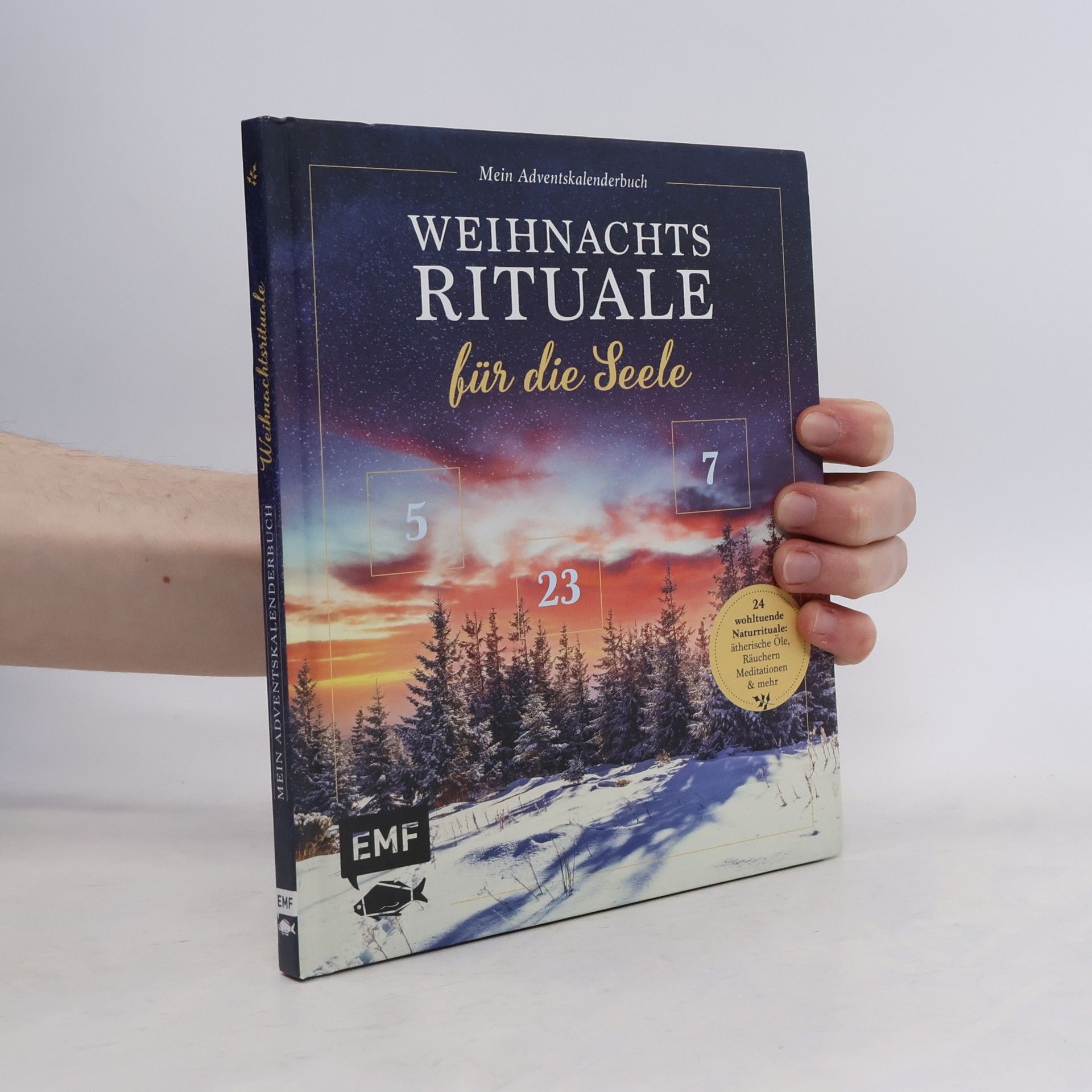 Mein Adventskalender-Buch: Weihnachtsrituale für die Seele