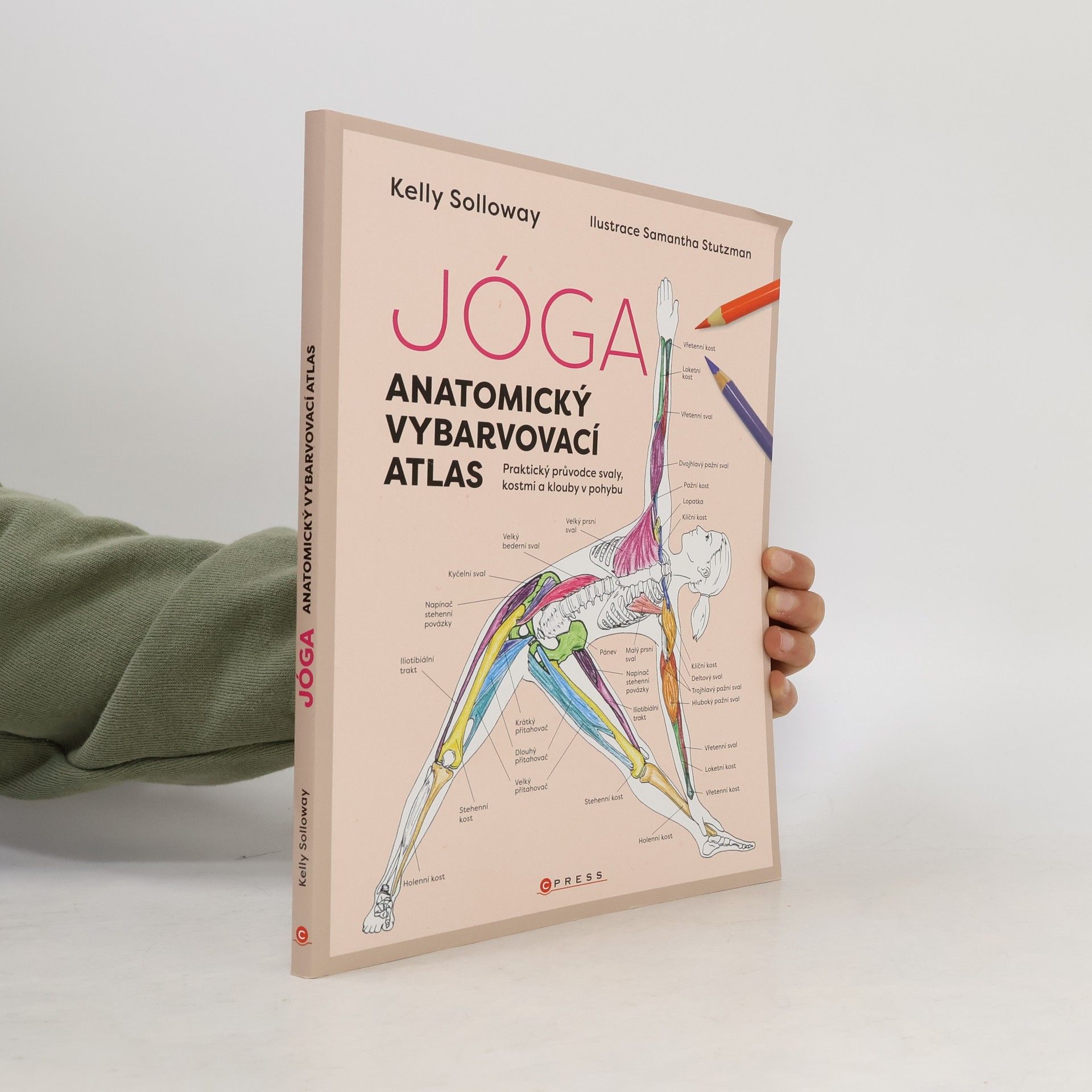 Kateřina Trenzová Jóga. Anatomický vybarvovací atlas. Praktický průvodce svaly, kostmi a klouby v pohybu