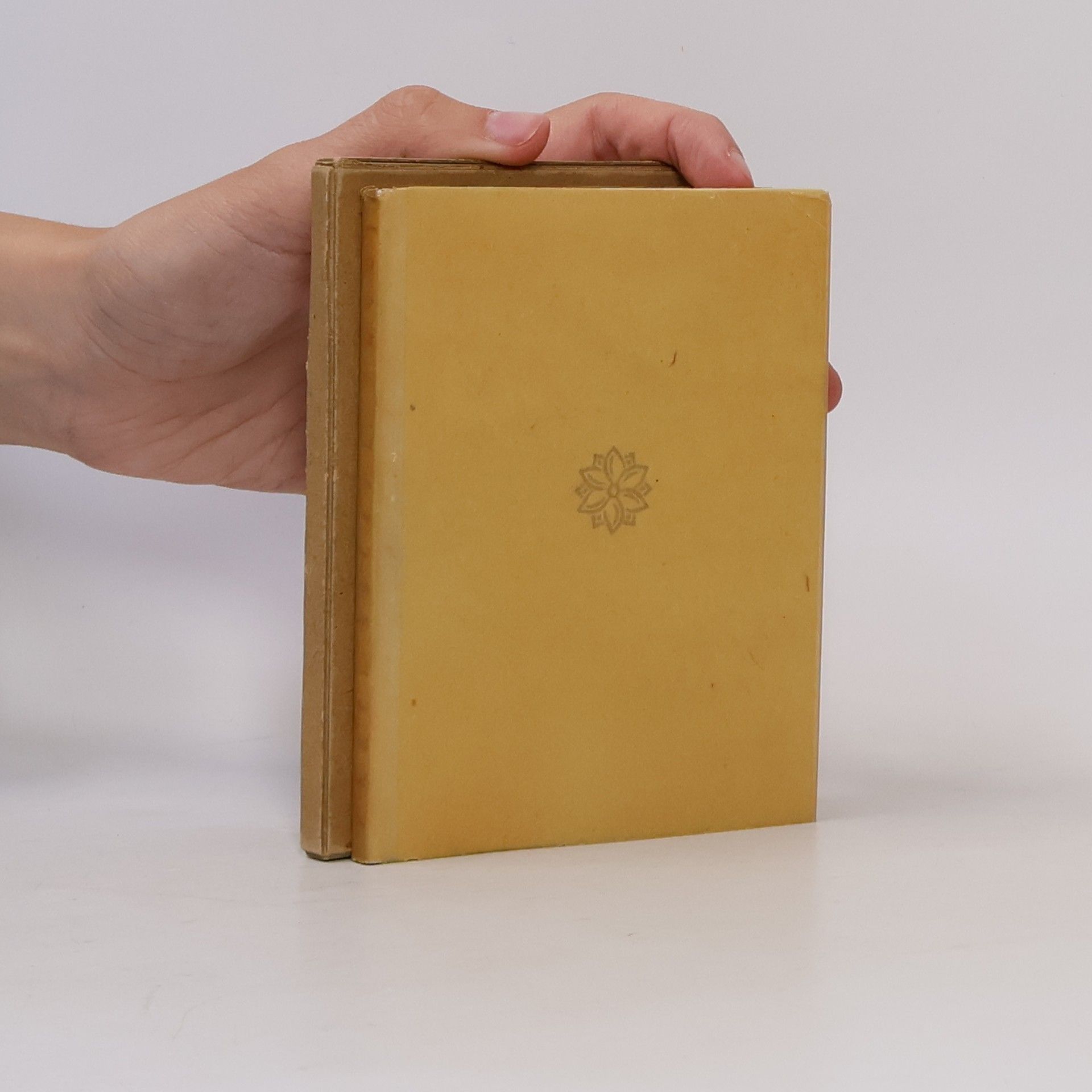 Šelepa Karel Závoj