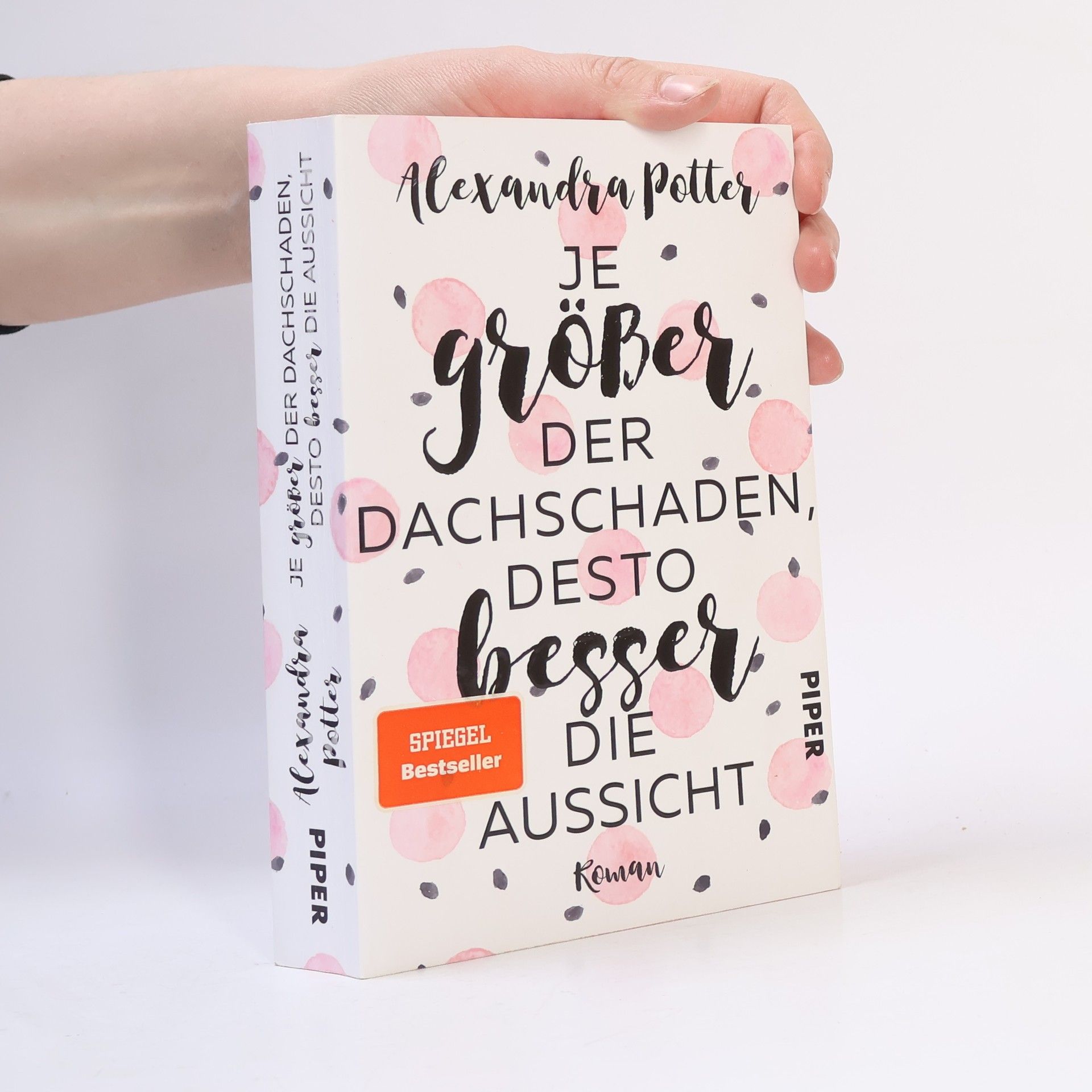 Alexandra Potter Je größer der Dachschaden, desto besser die Aussicht