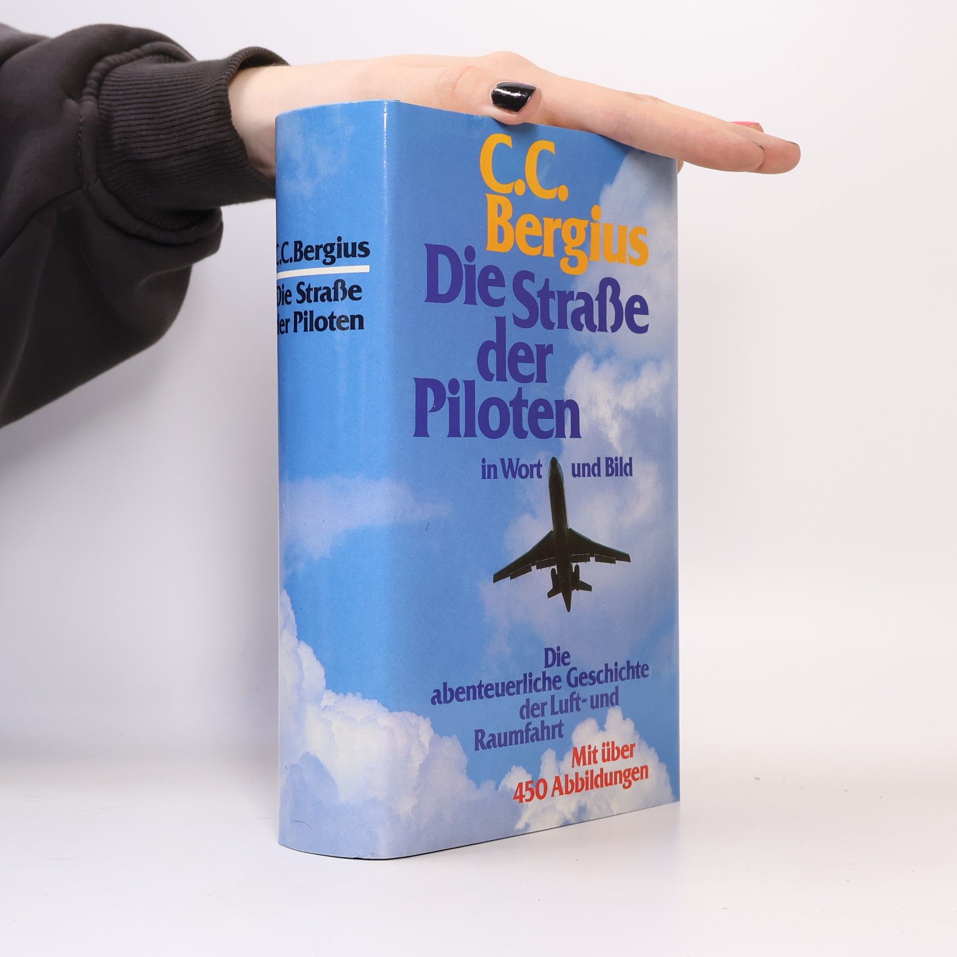 C. C. Bergius Die Straße der Piloten
