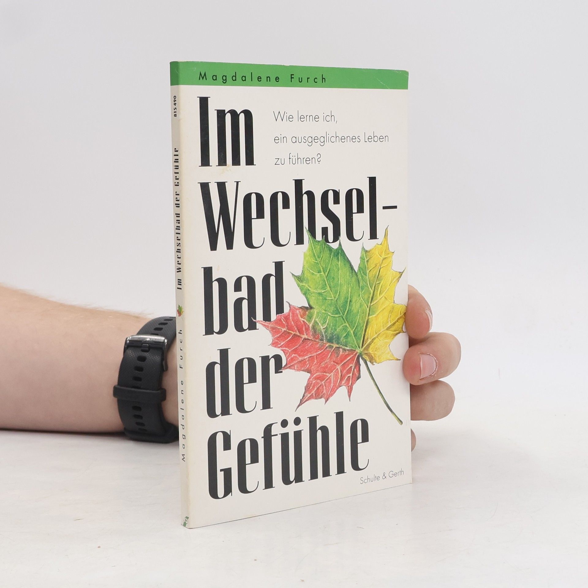 Magdalene Furch Im Wechselbad der Gefühle