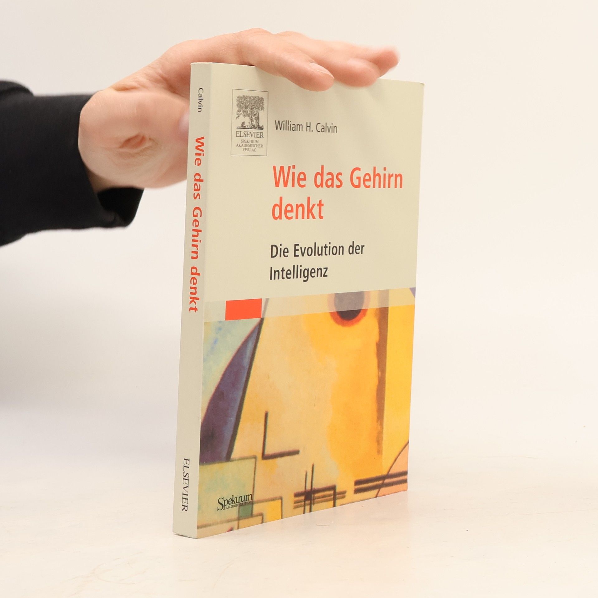 William H. Calvin Wie das Gehirn denkt