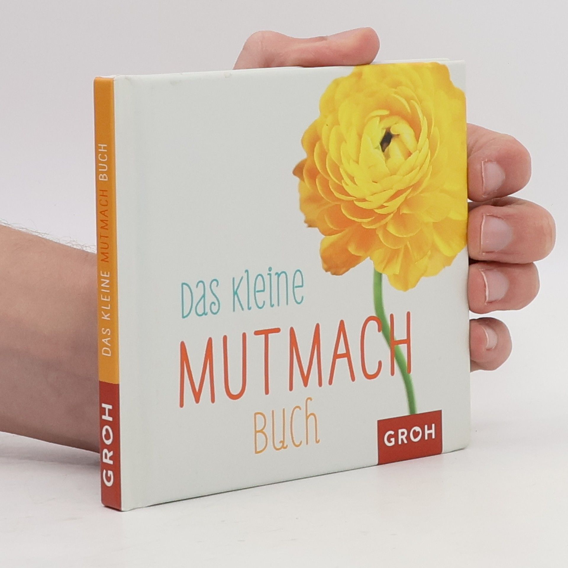 Joachim Groh Das kleine Mutmach-Buch